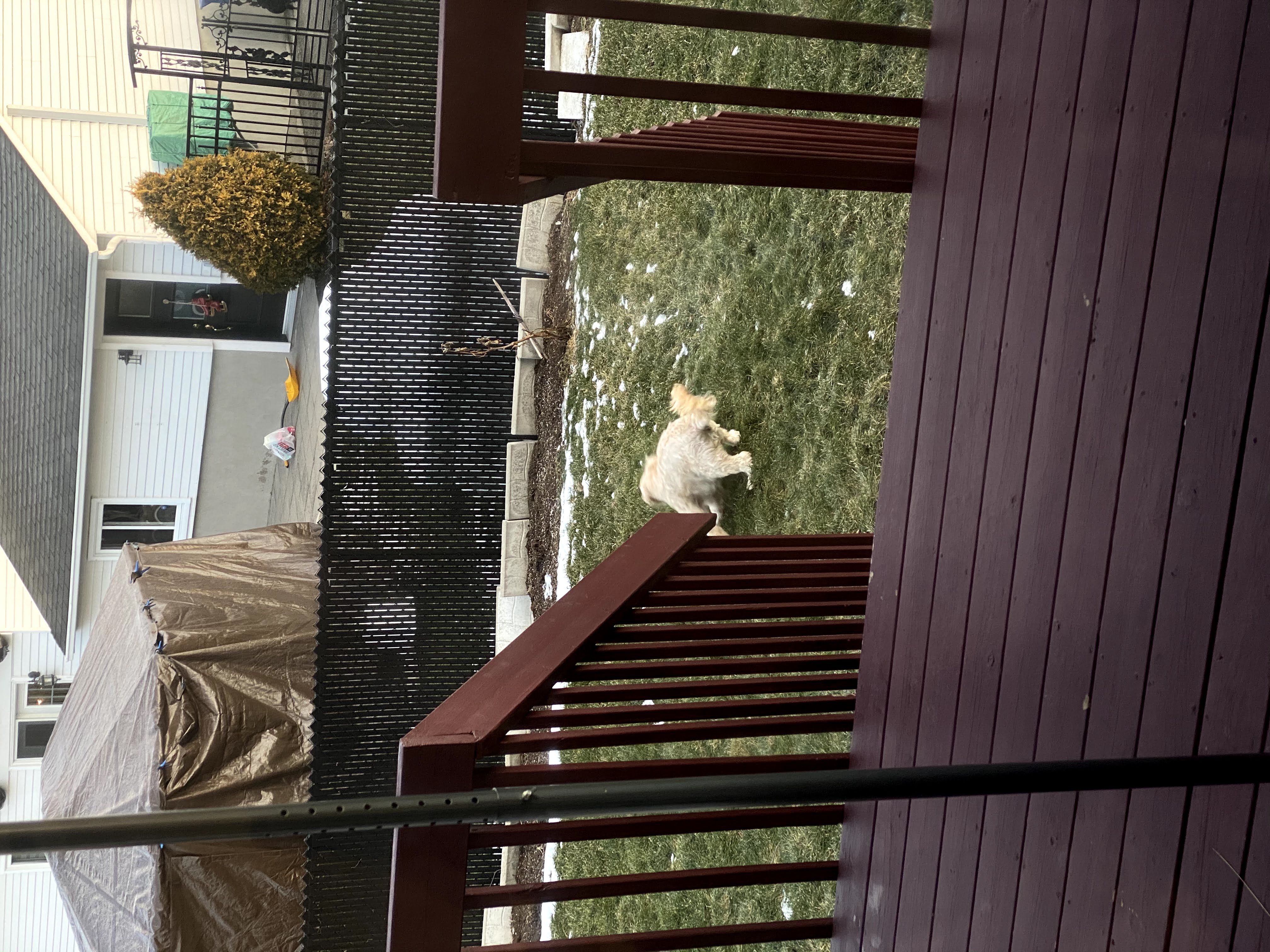 1779062537018 thfh6w IMG 5946