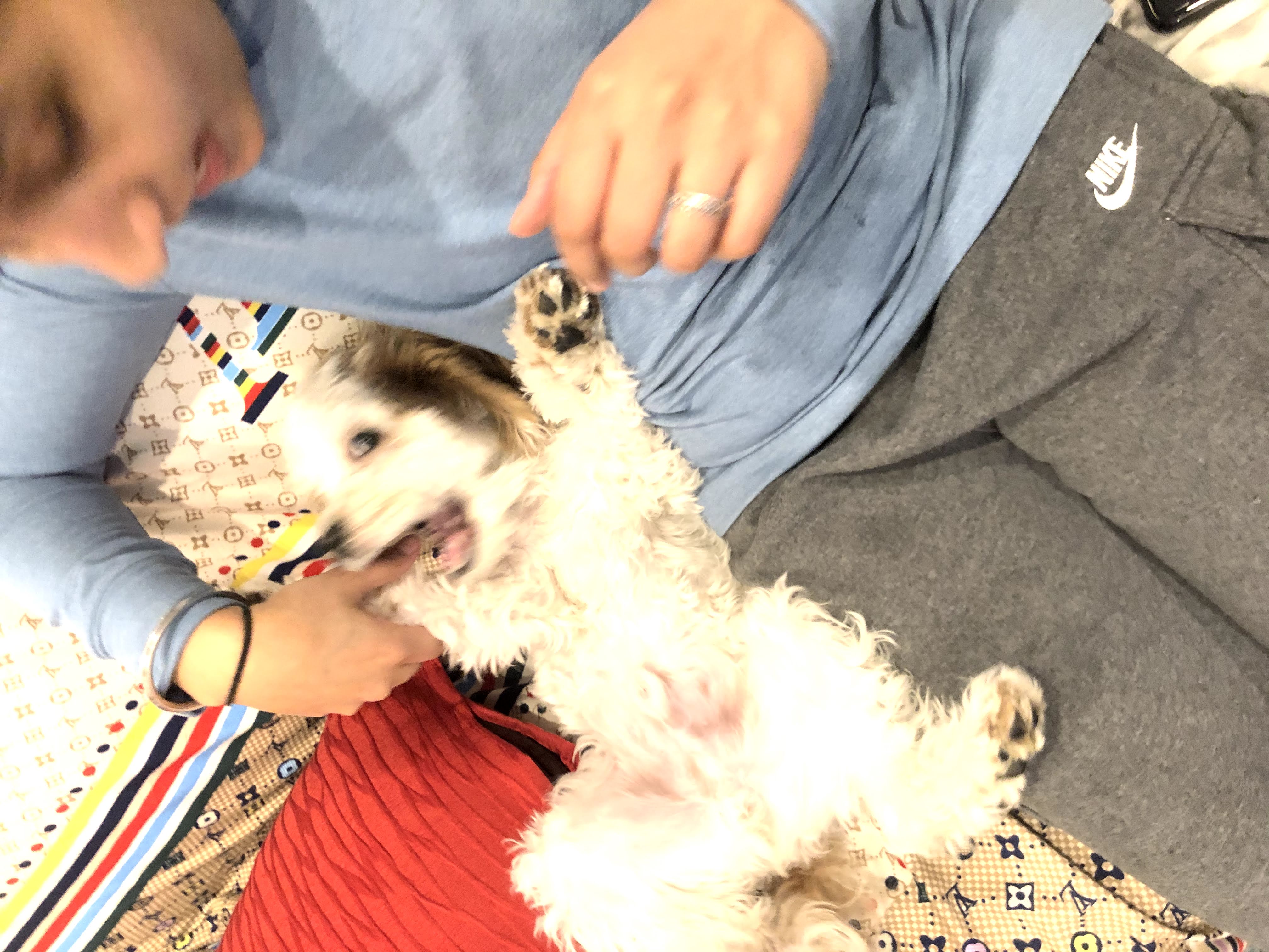 1779062543060 mh389x IMG 5636 1 