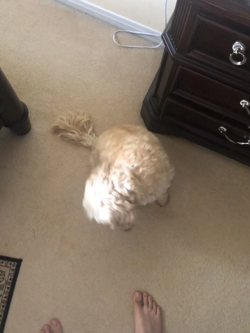 1779062547301 kshxpm IMG 3151