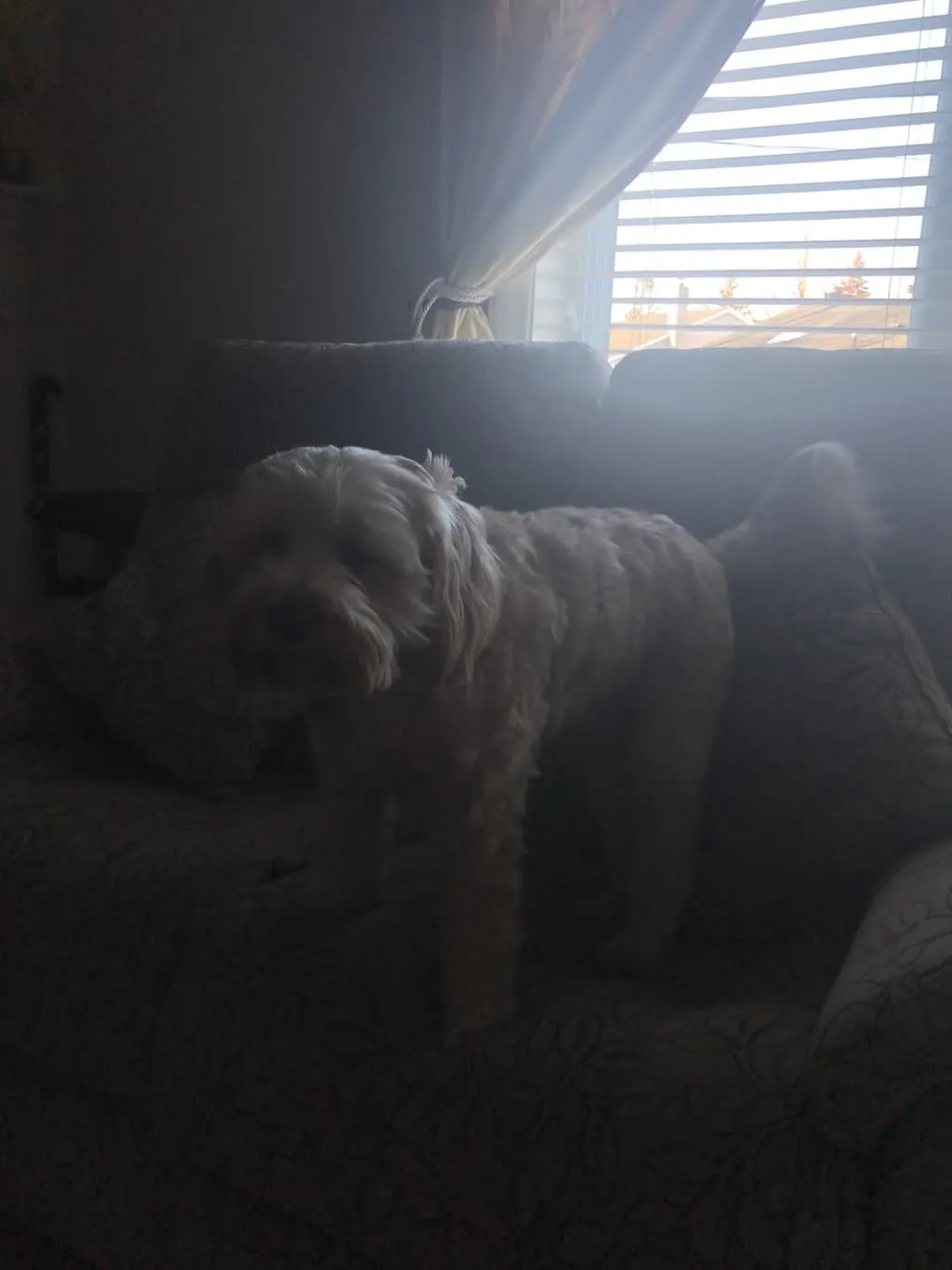 1779062568937 3o7tac IMG 7603