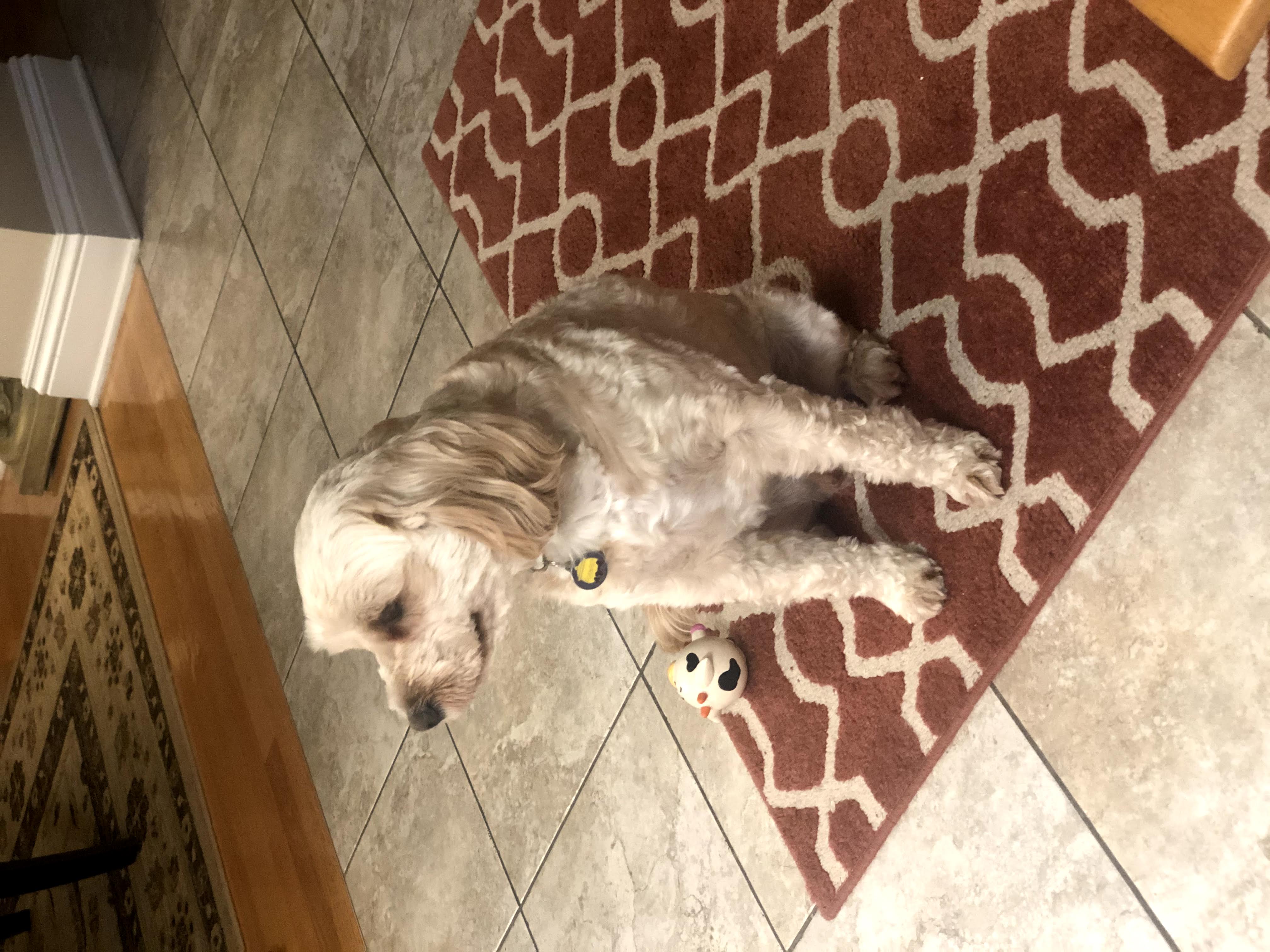 1779062590197 cxtvwr IMG 5249