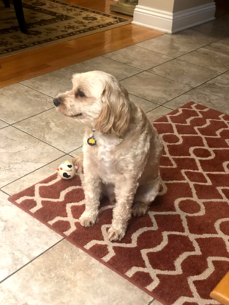 1779062590197 cxtvwr IMG 5249