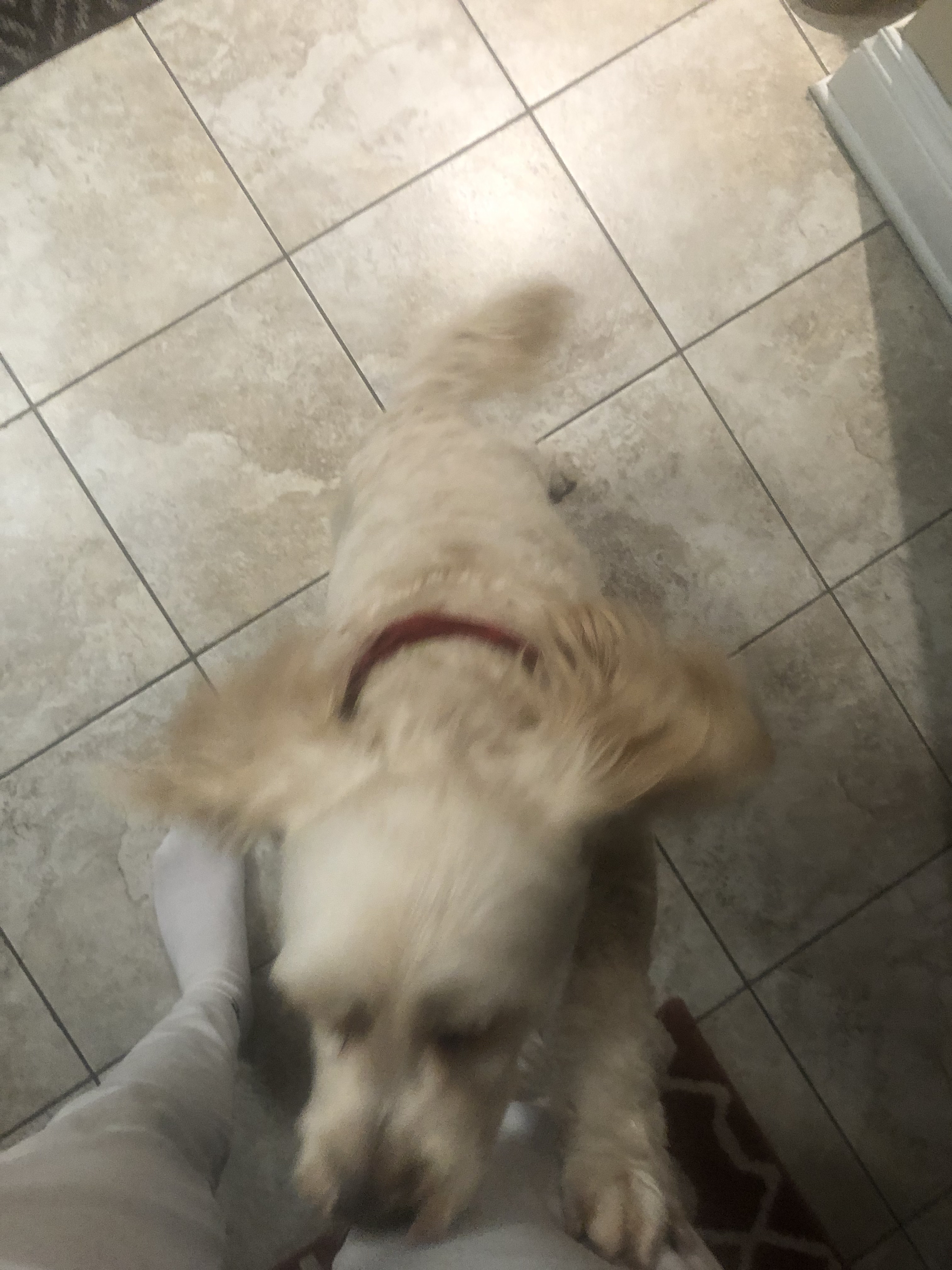 1779062613373 r5fs7b IMG 4961