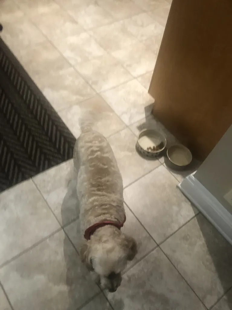 1779062614608 xvm1pv IMG 4960