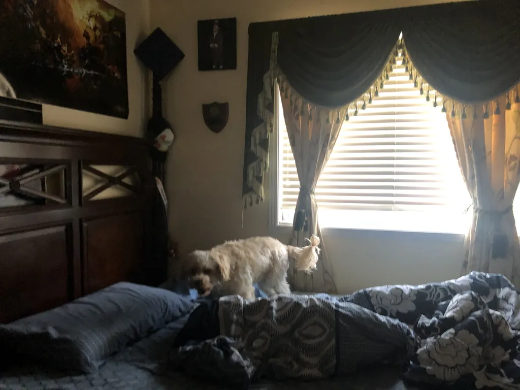 1779062634448 65omfx IMG 4674