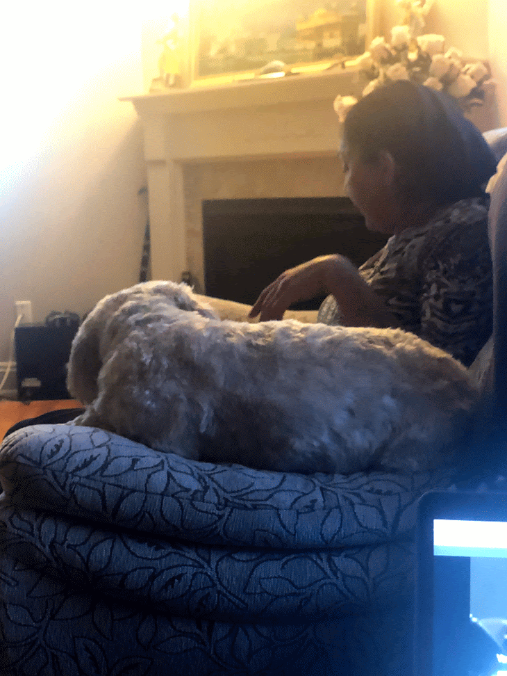 1779062671790 v6nnrn IMG 0550 ANIMATION