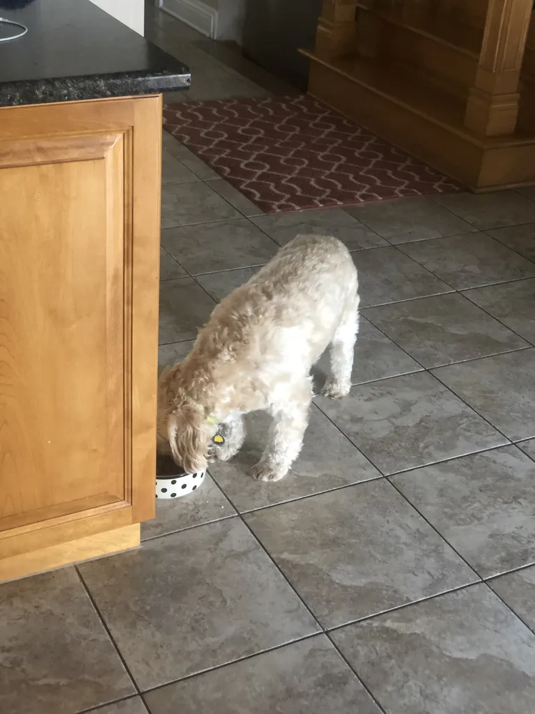1779062693467 ldymlc IMG 4203