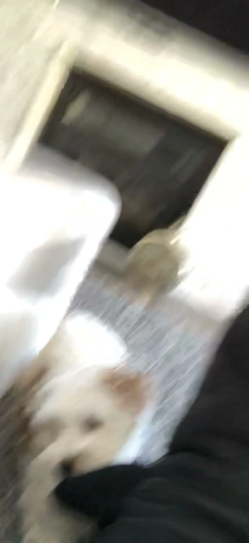1779062694599 h70mwa lp image 18 