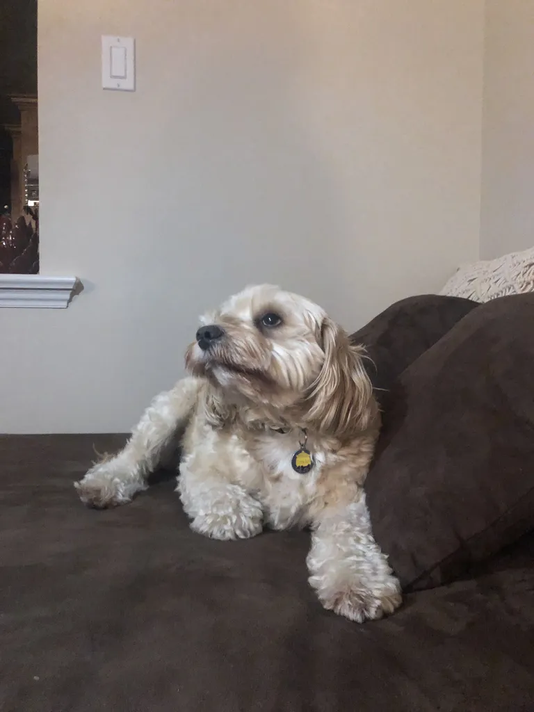 1779062700137 0x3pb4 IMG 4108