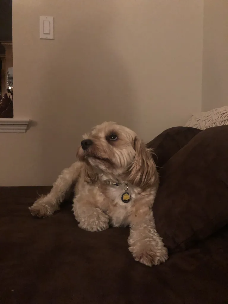 1779062705714 w4ceyd IMG 4107