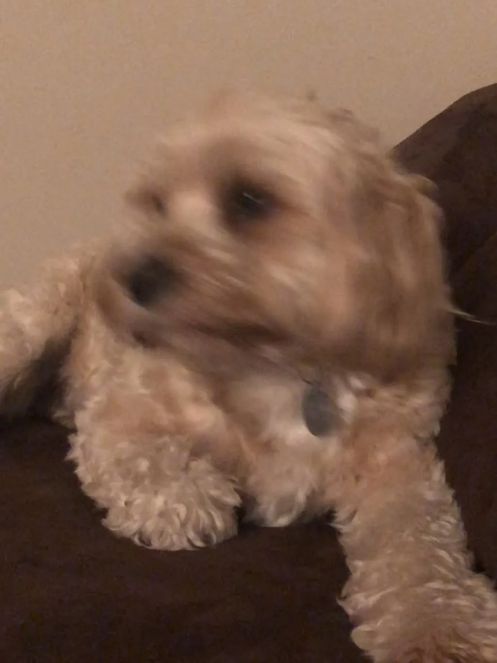 1779062714035 ckvxv4 IMG 4115