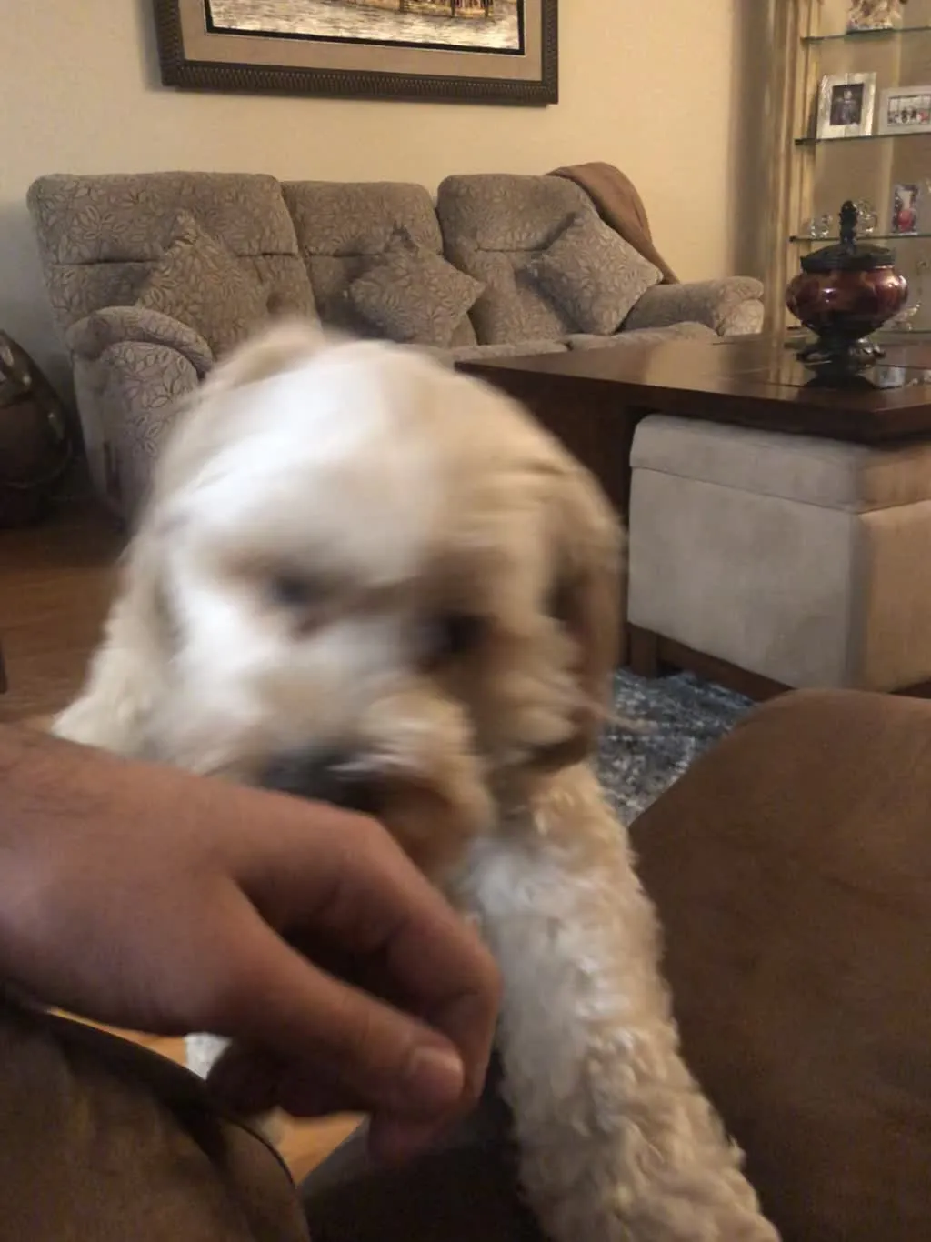 1779062715248 4wr7ha IMG 4331