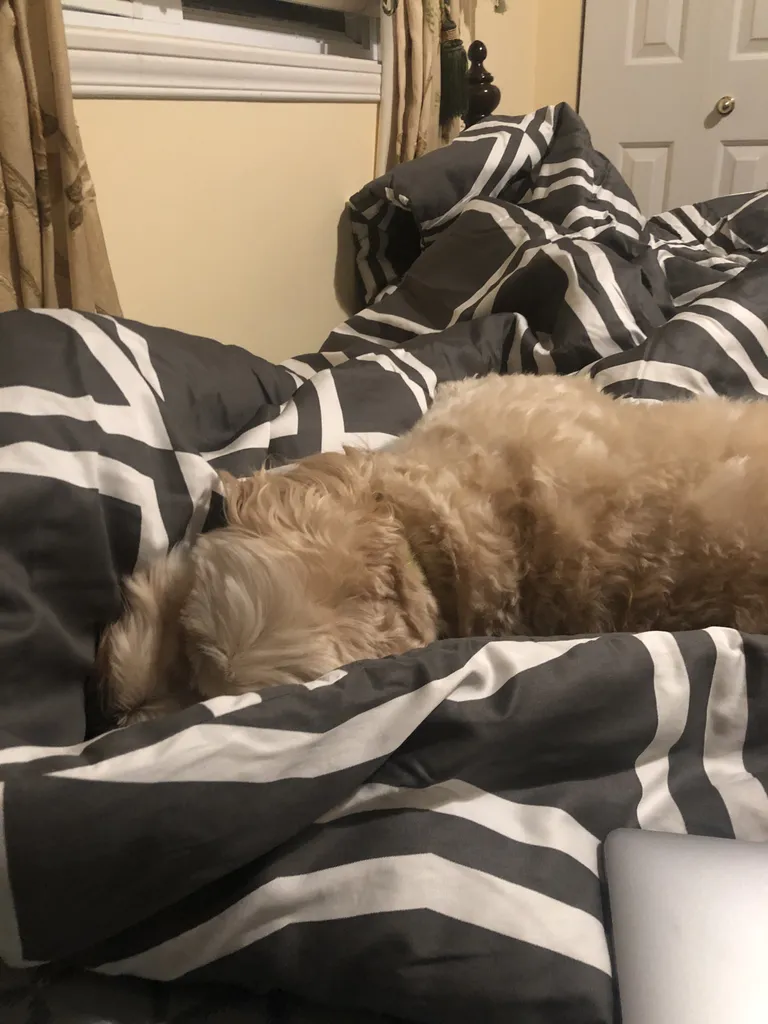 1779062741507 bhmclw IMG 3787