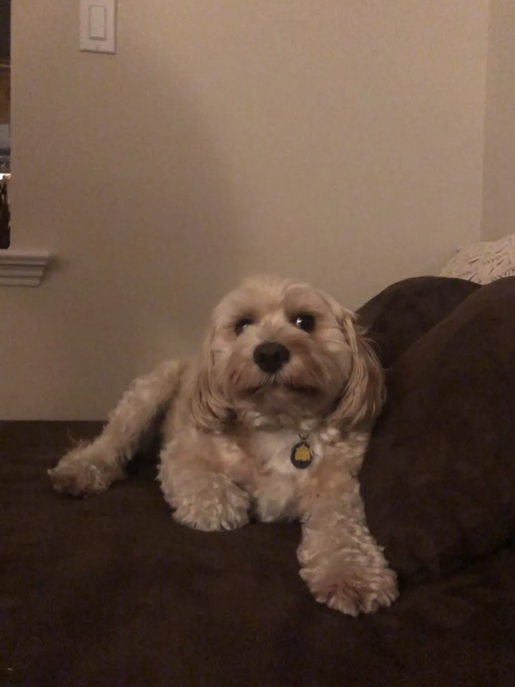 1779062742805 ymtk6k IMG 4106