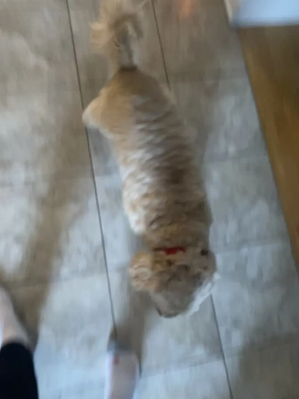 1779062752945 c4e75i IMG 7814