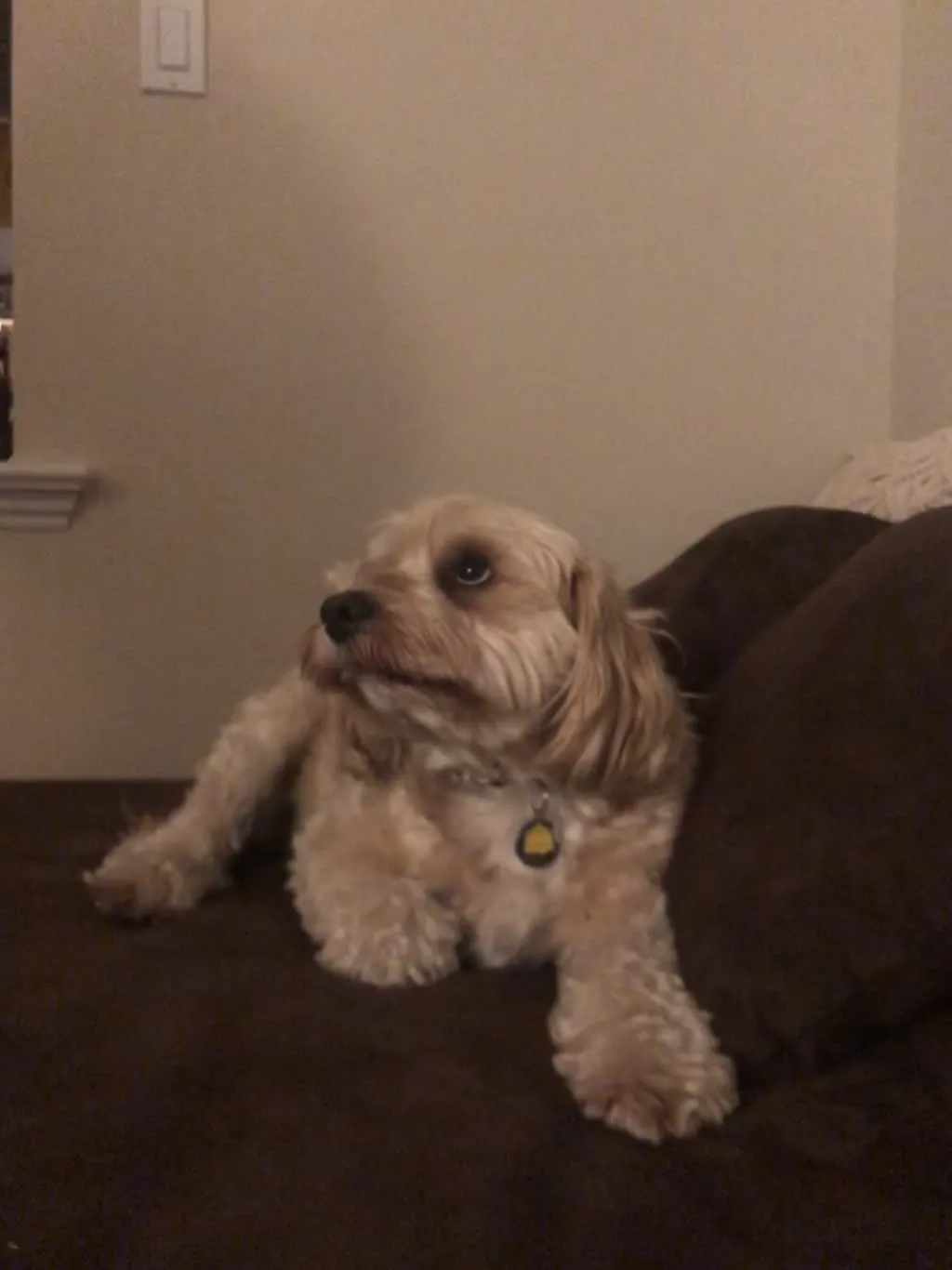 1779062764337 7qocbb IMG 4105