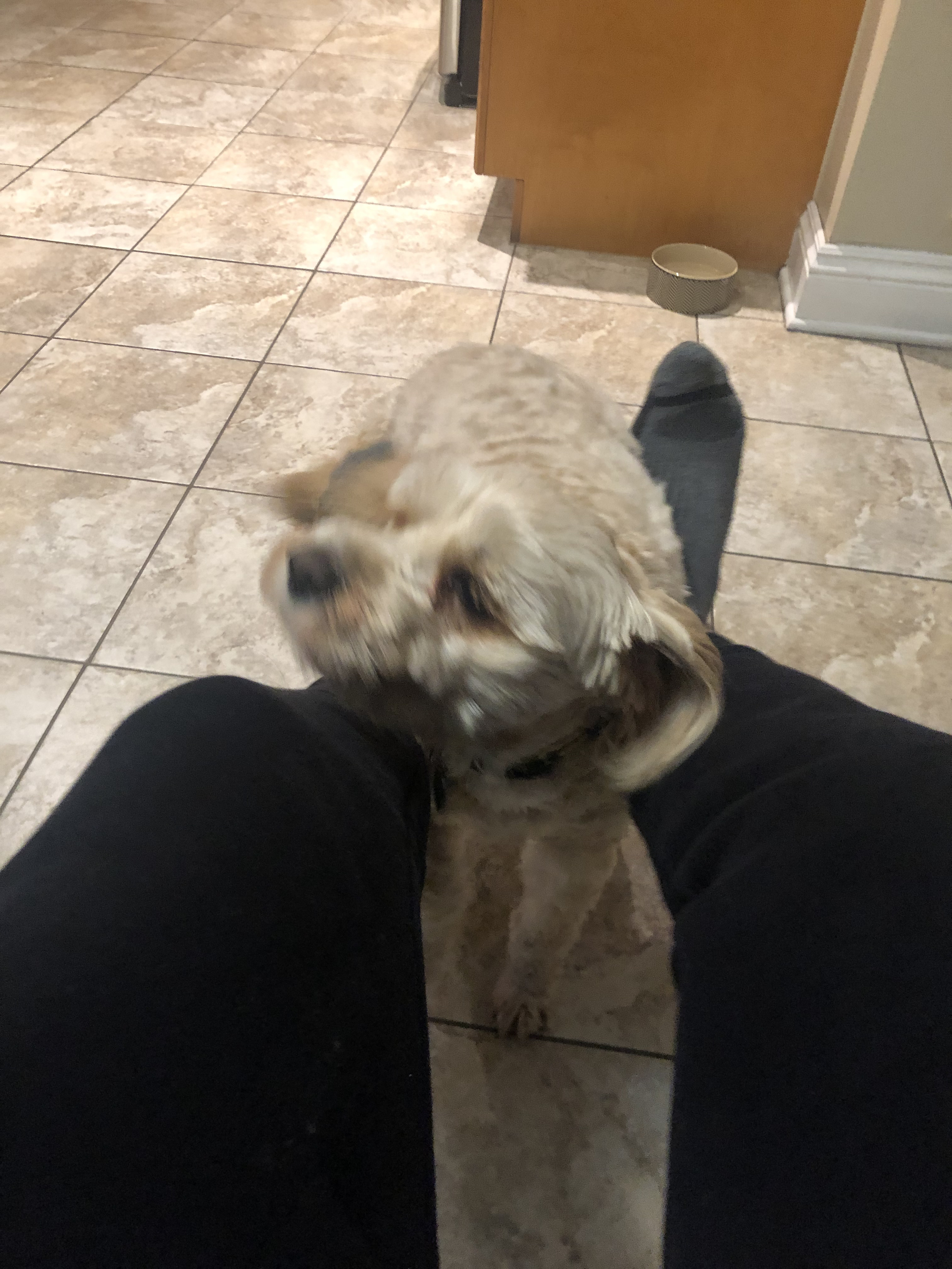 1779062770112 rir1xj IMG 5262