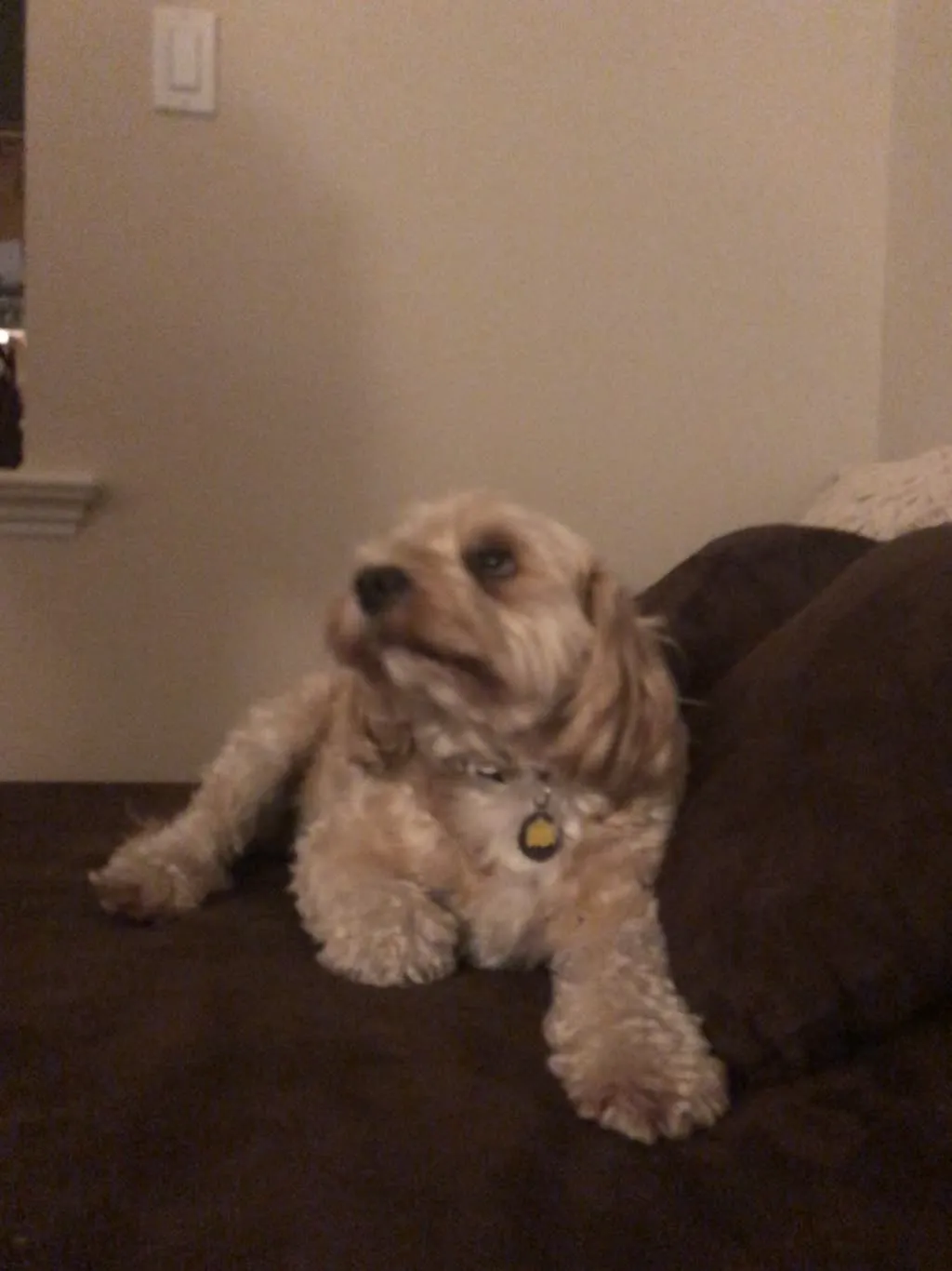 1779062771045 qeonnm IMG 4107