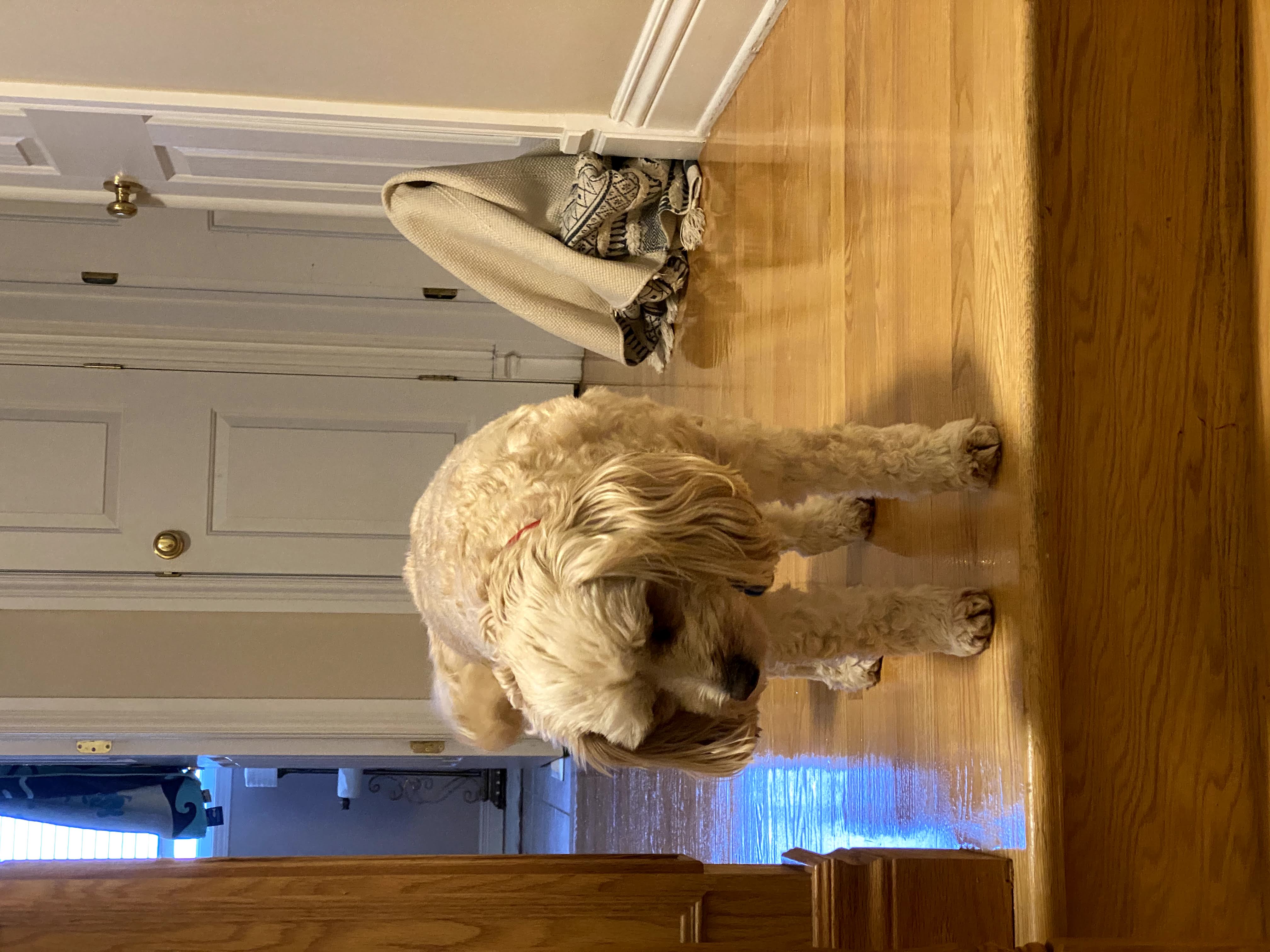 1779062772792 yfedyx IMG 7599