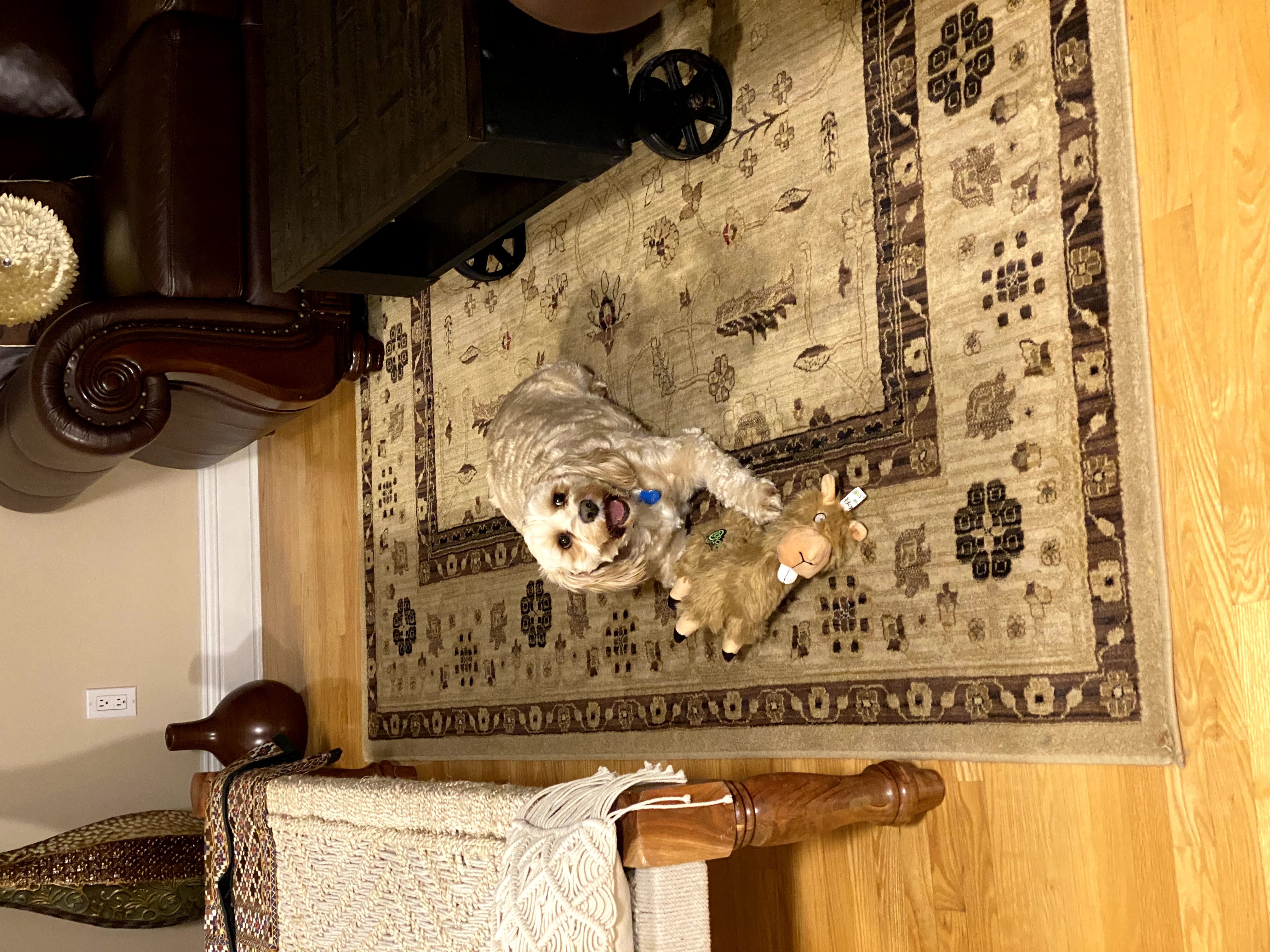 1779062776321 p7g5hw IMG 7511