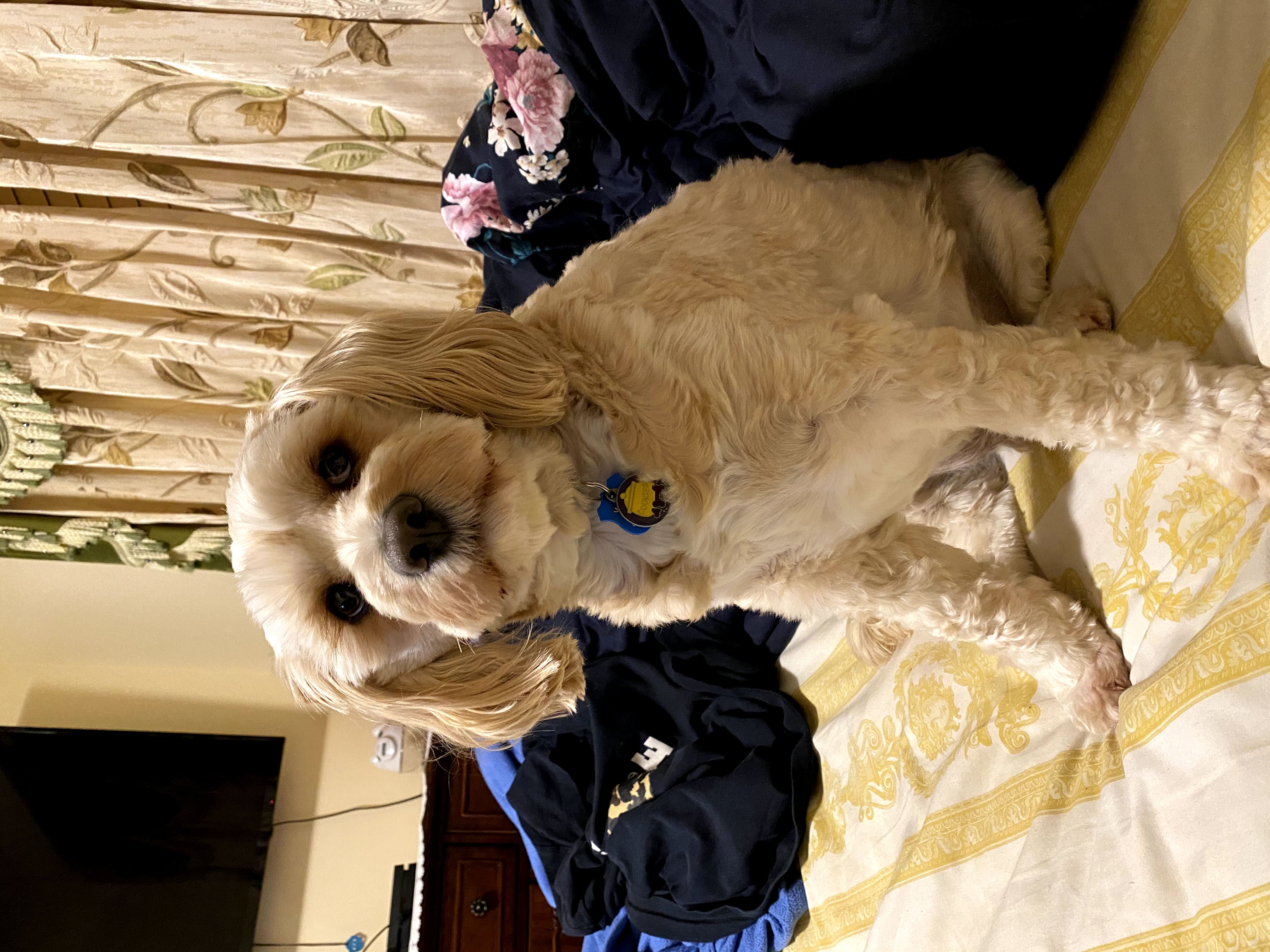 1779062780475 on2k2q IMG 7403