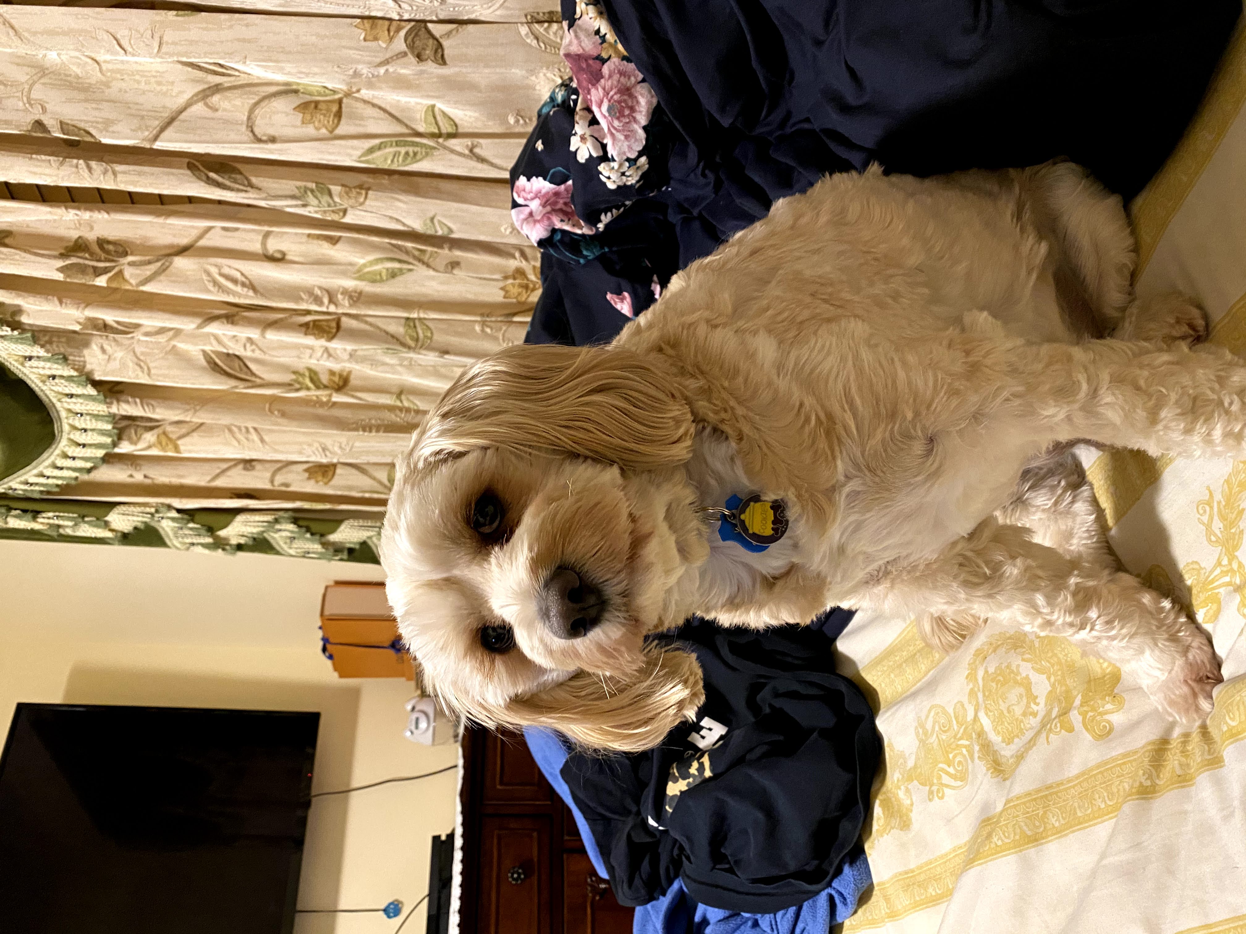 1779062781560 y46q9m IMG 7400