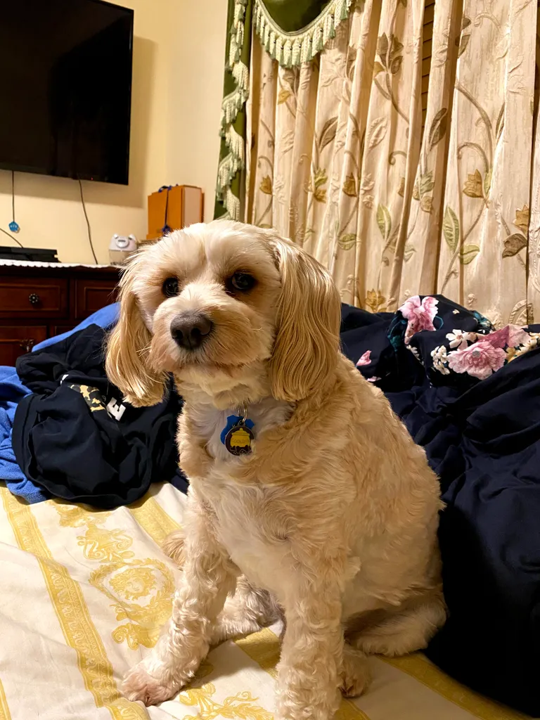1779062781560 y46q9m IMG 7400