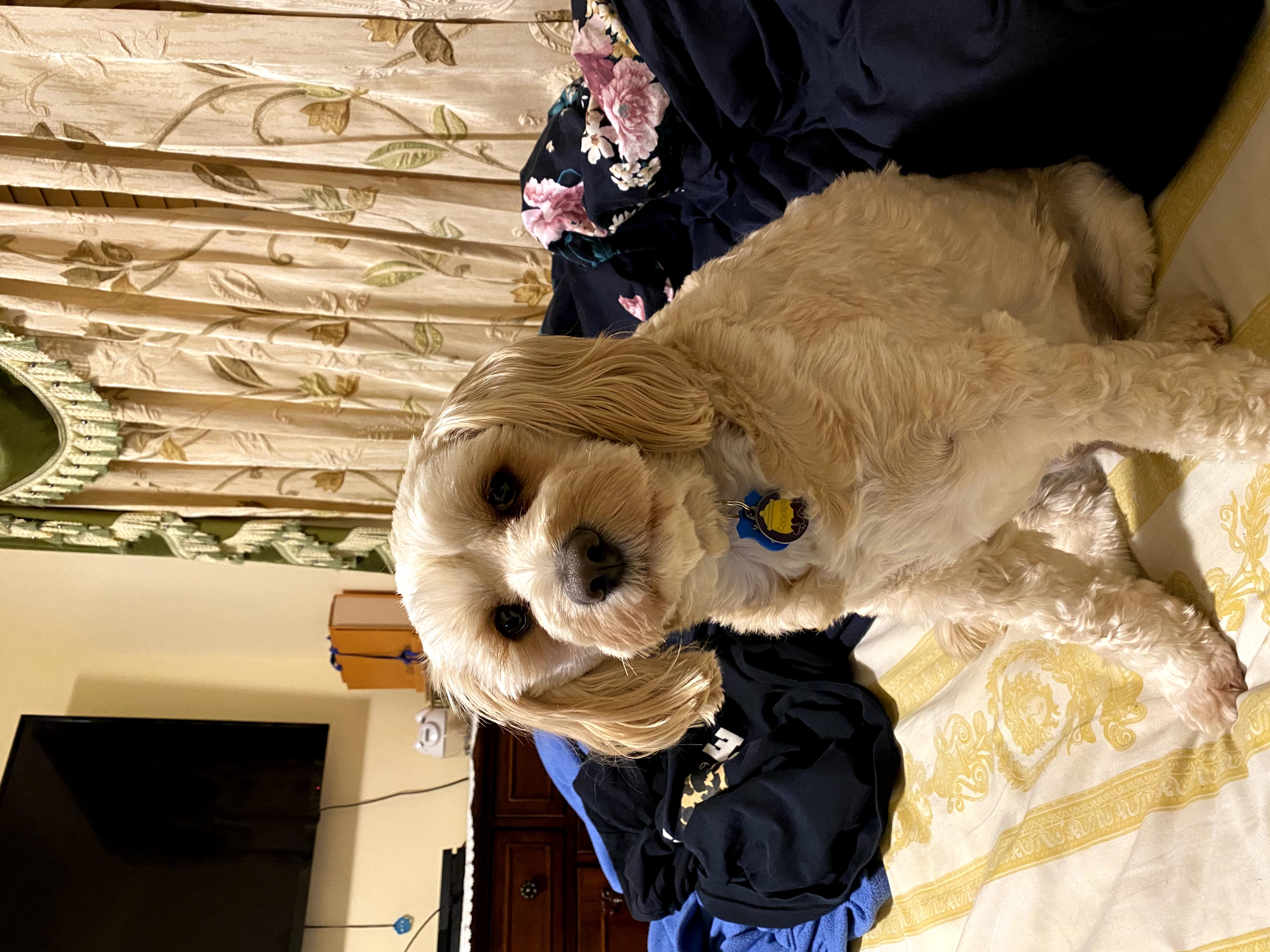 1779062784880 4uti7p IMG 7401