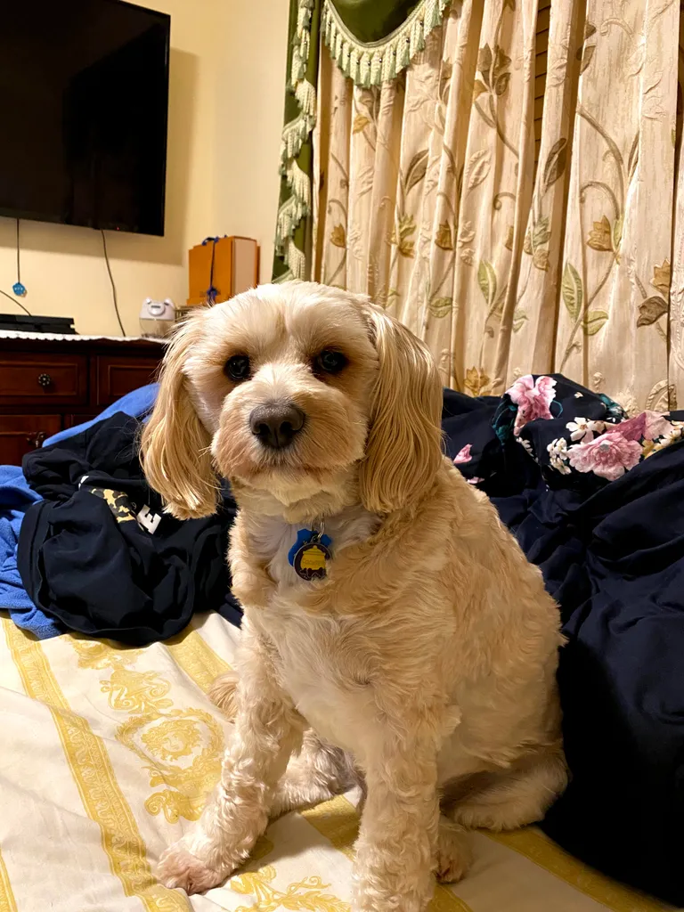 1779062784880 4uti7p IMG 7401
