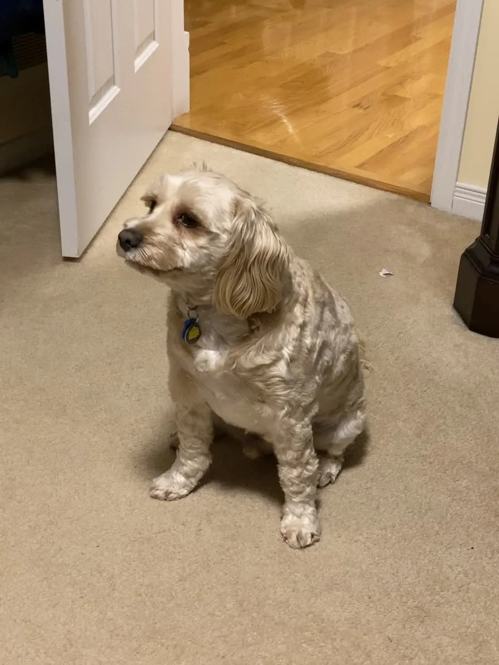 1779062806665 s6wj70 IMG 7106