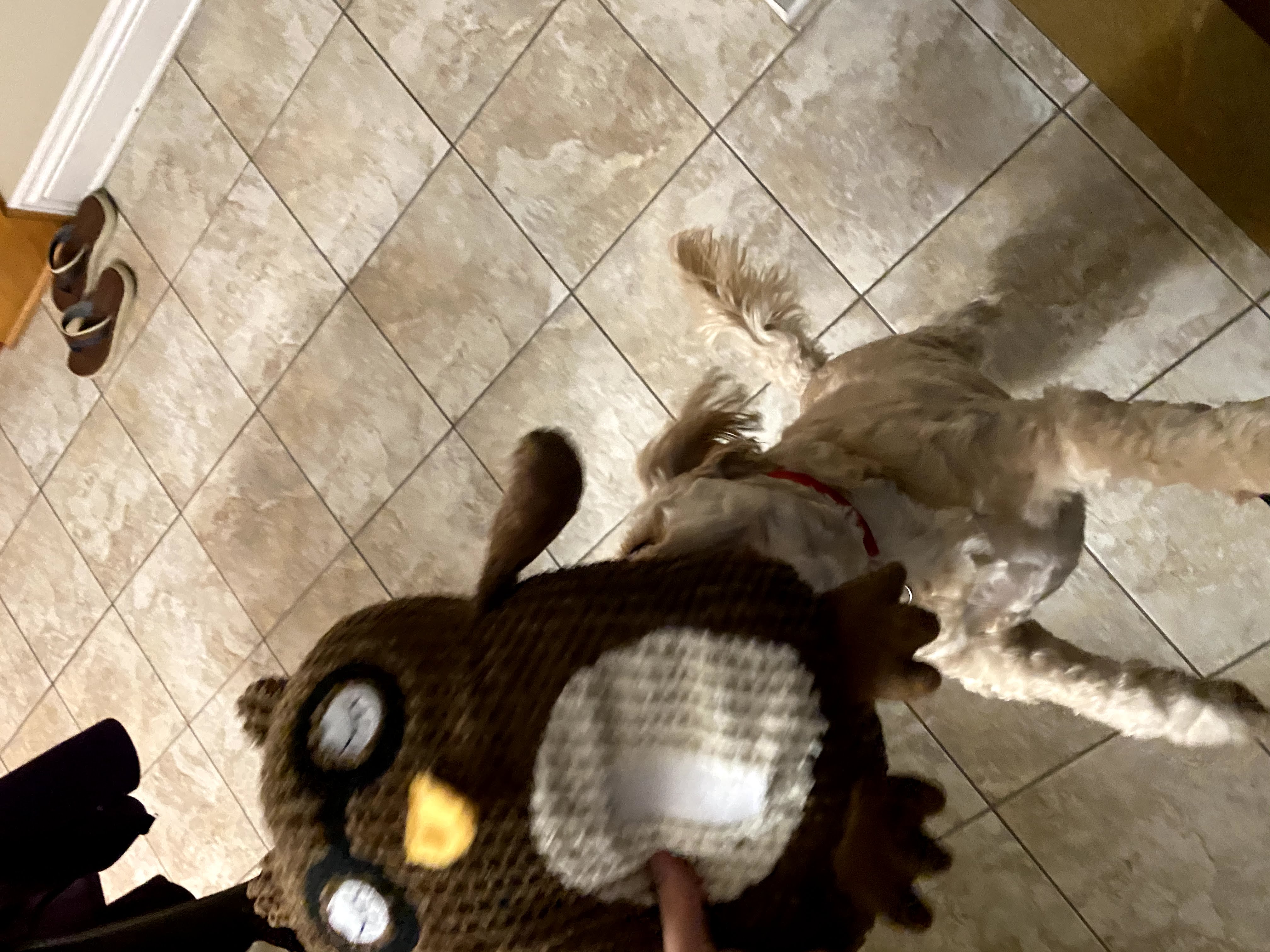 1779062808727 2hhssb IMG 7073