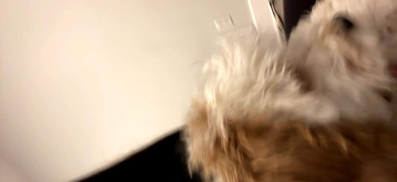 1779062815119 8iake0 lp image 38 