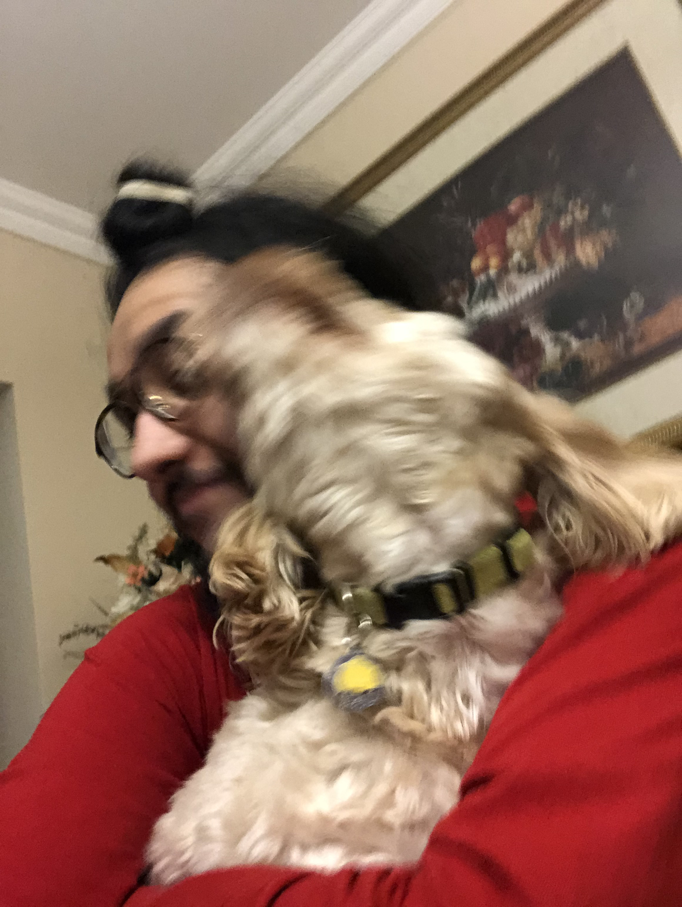 1779062816058 ydgosw IMG 5610