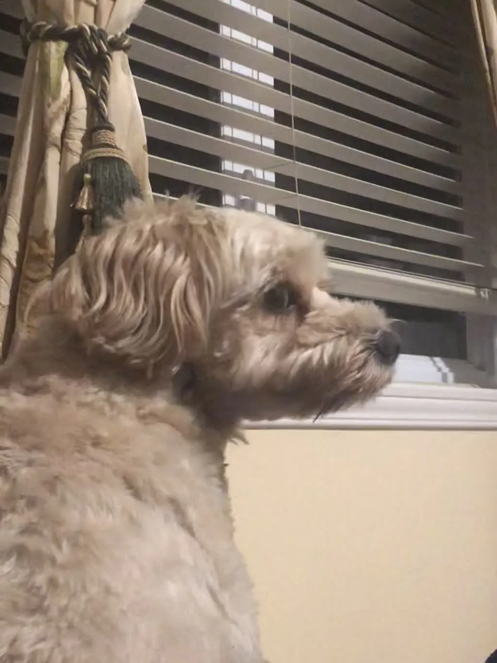 1779062833914 18266k IMG 0813