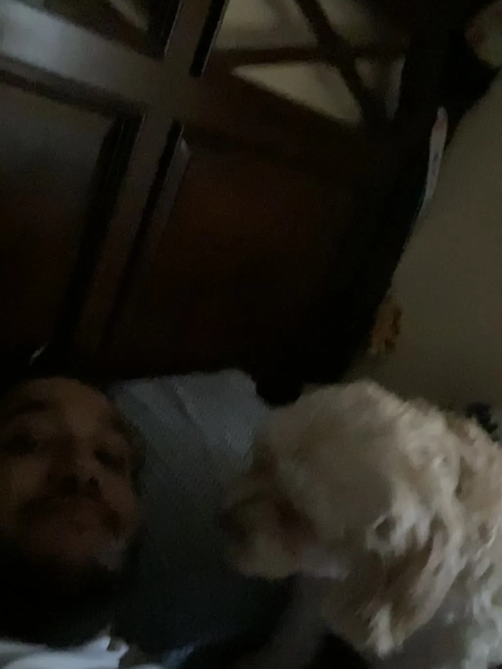1779062842790 oljg2k IMG 5995