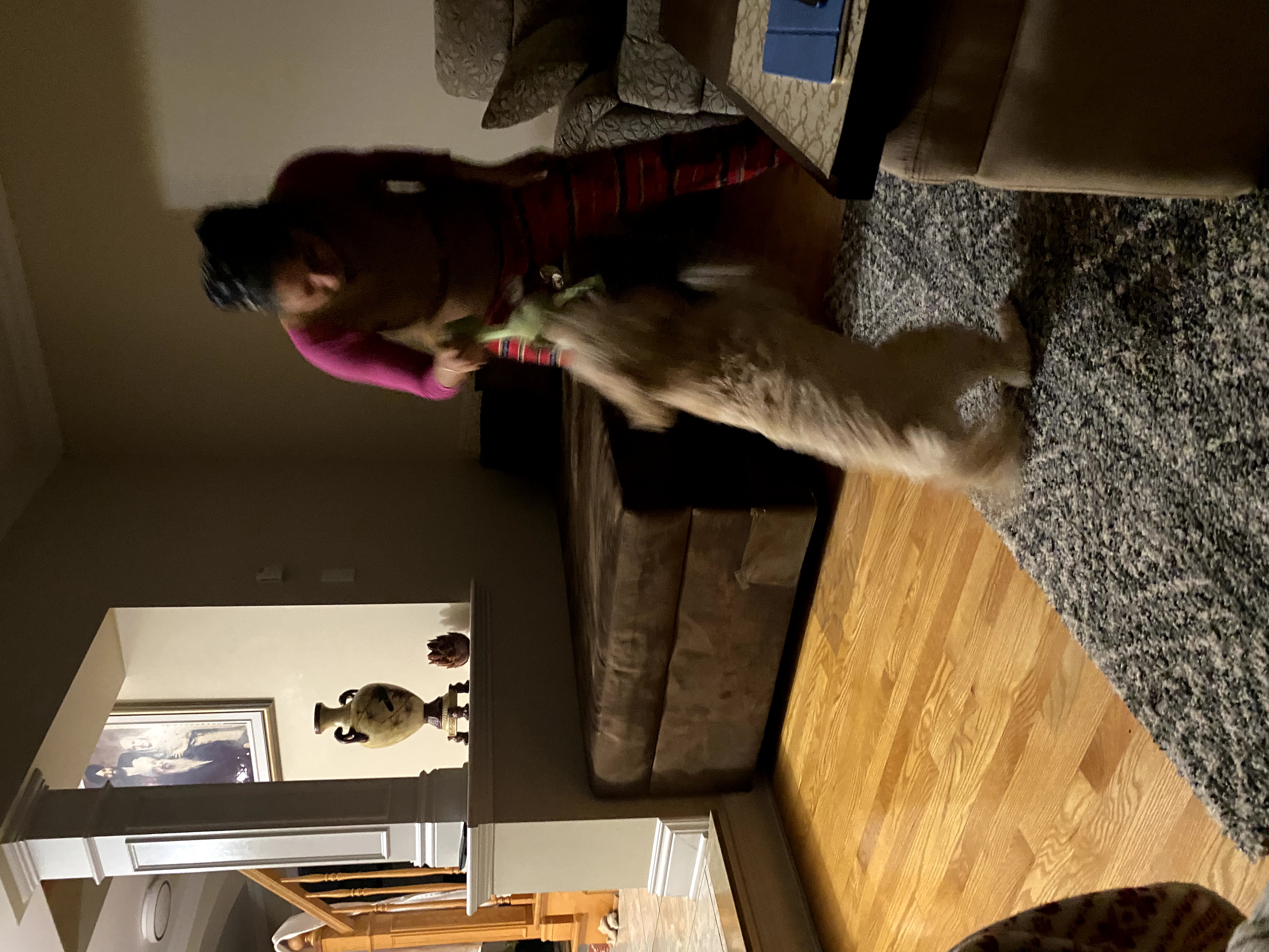 1779062844602 crxk1i IMG 6047