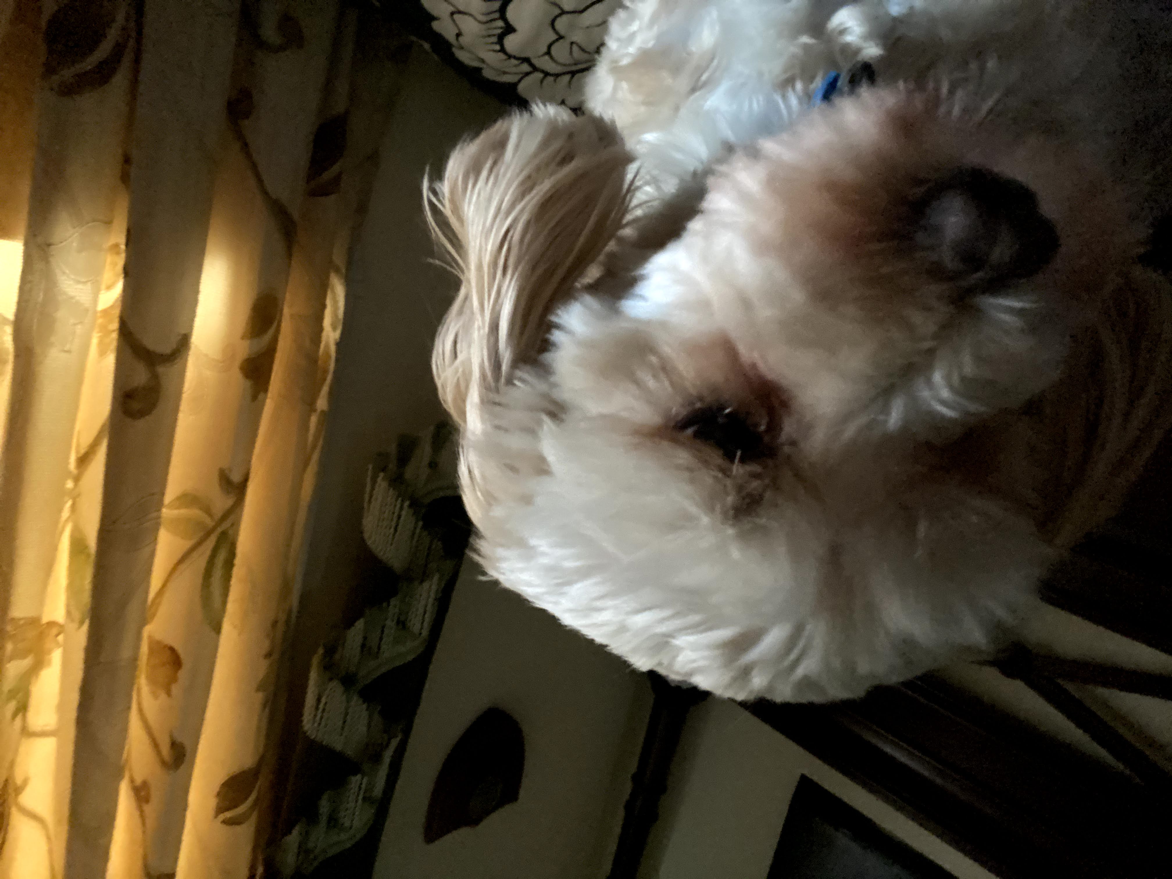 1779062845530 7m7qar IMG 5993