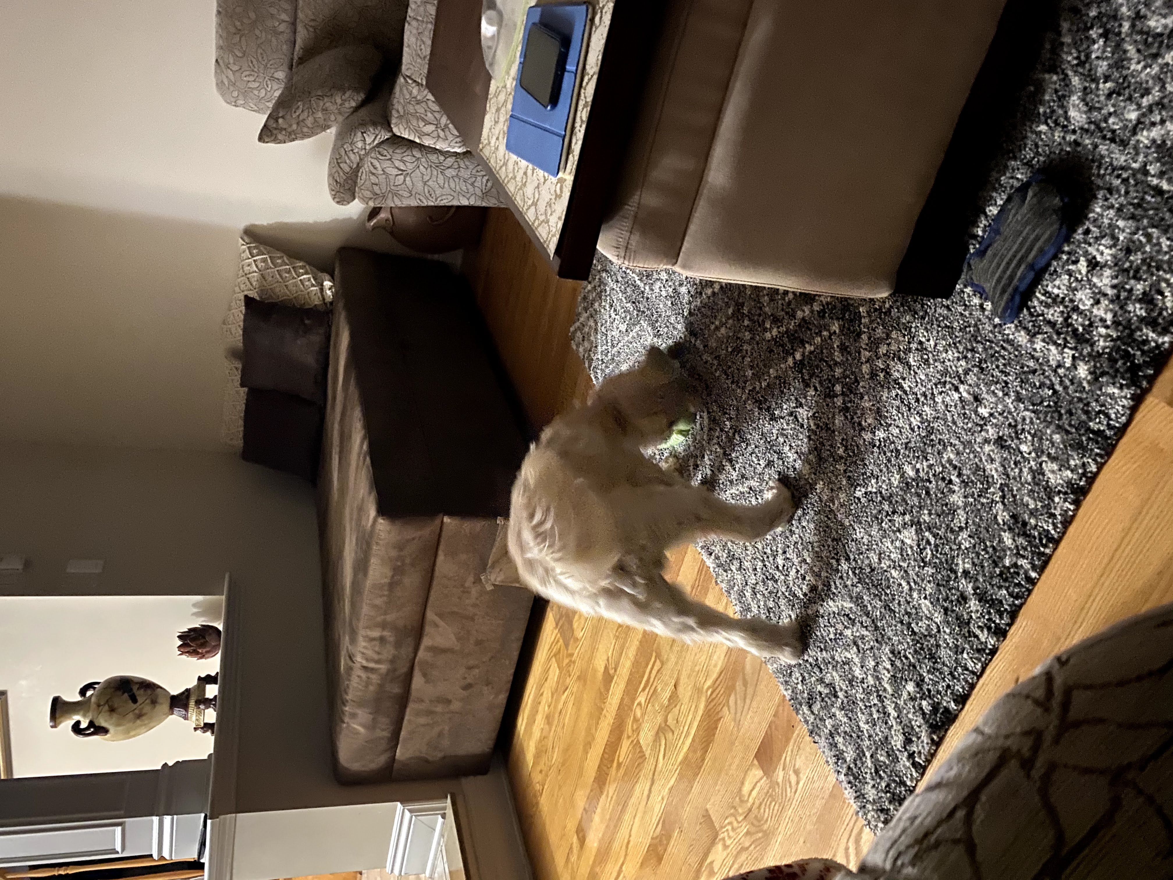 1779062852253 zmsyuc IMG 6049