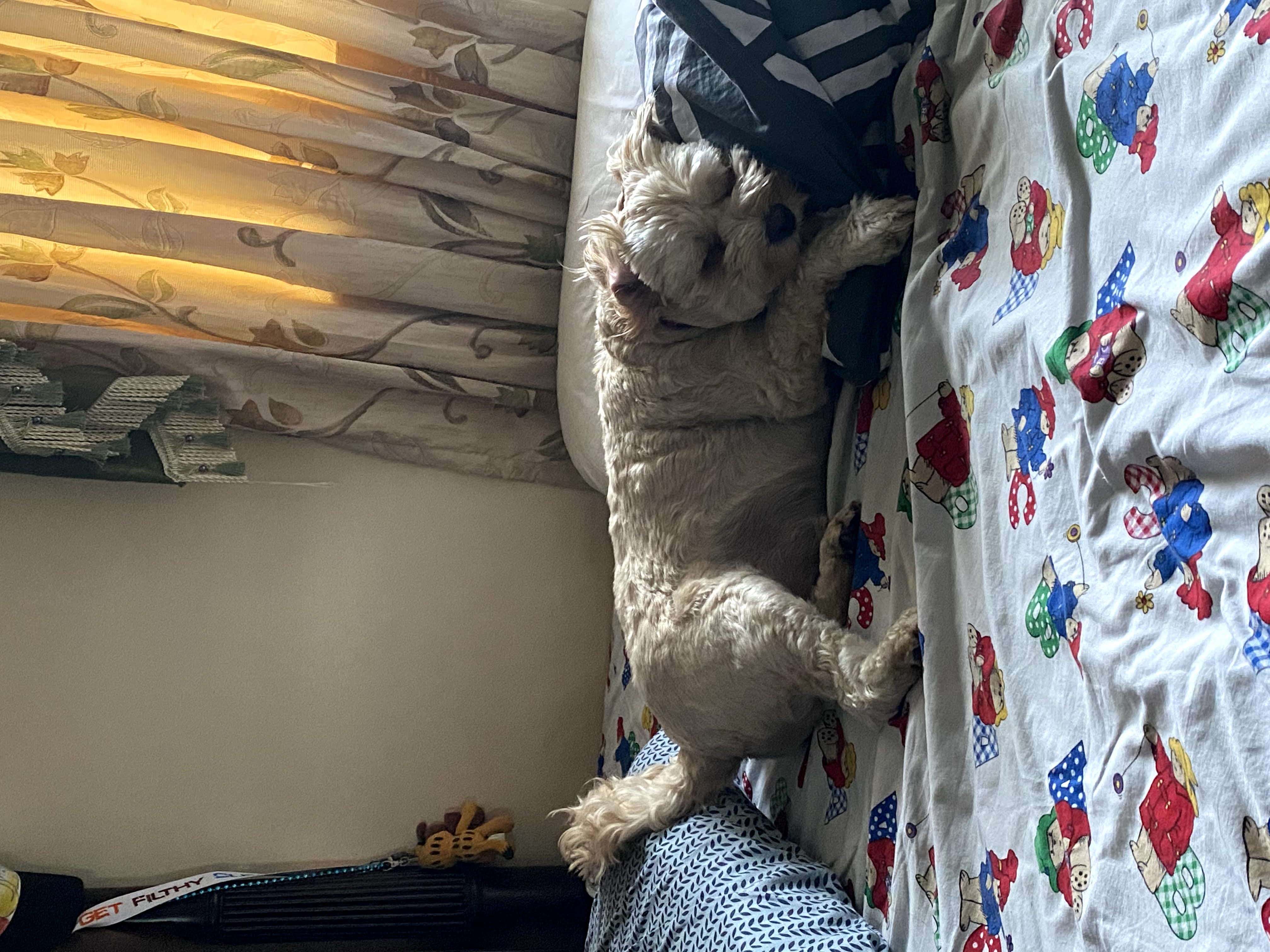 1779062857116 7xnpyv IMG 0598