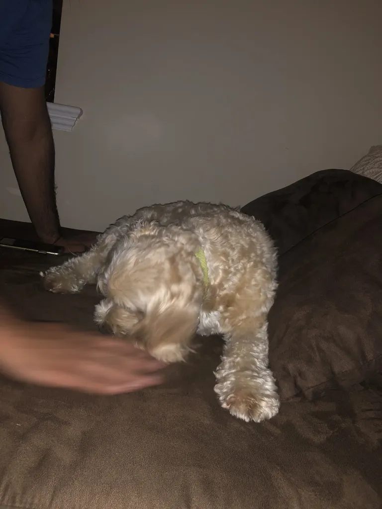 1779062863485 59zbky IMG 4112