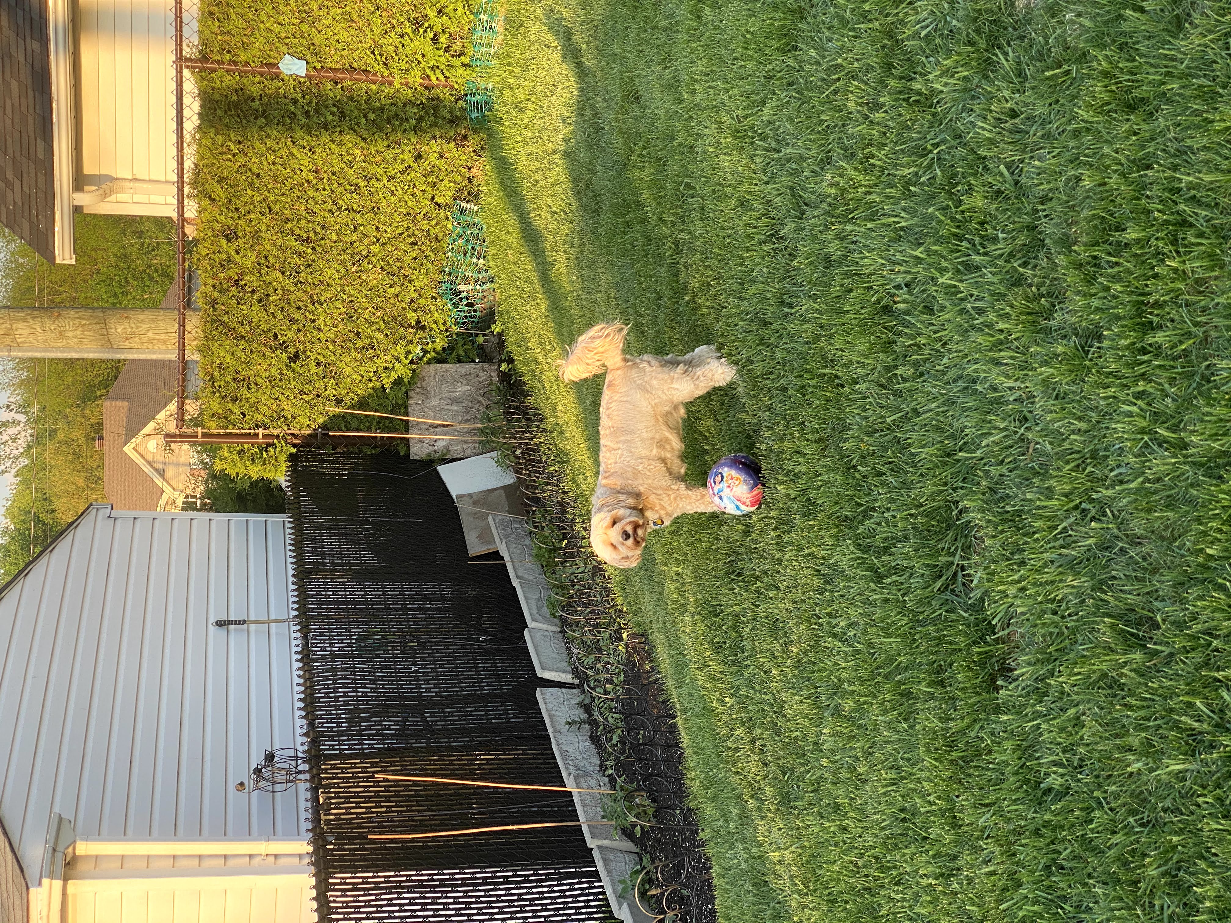 1779062866501 cdt11n IMG 0177