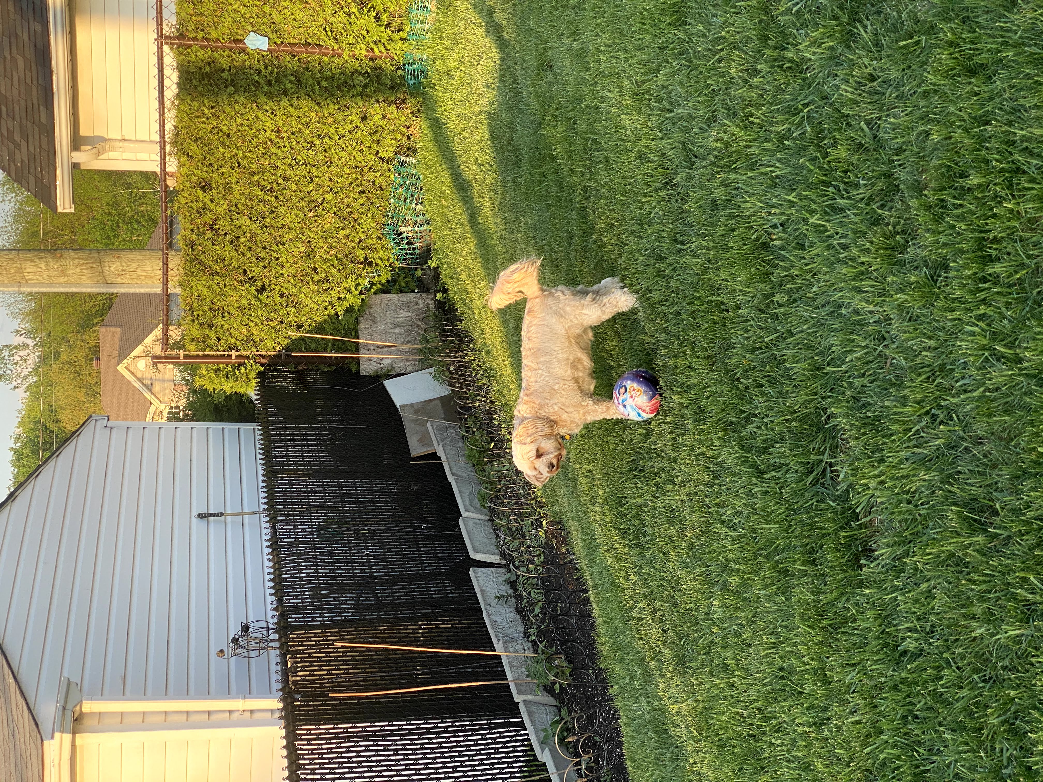 1779062867930 y703go IMG 0176