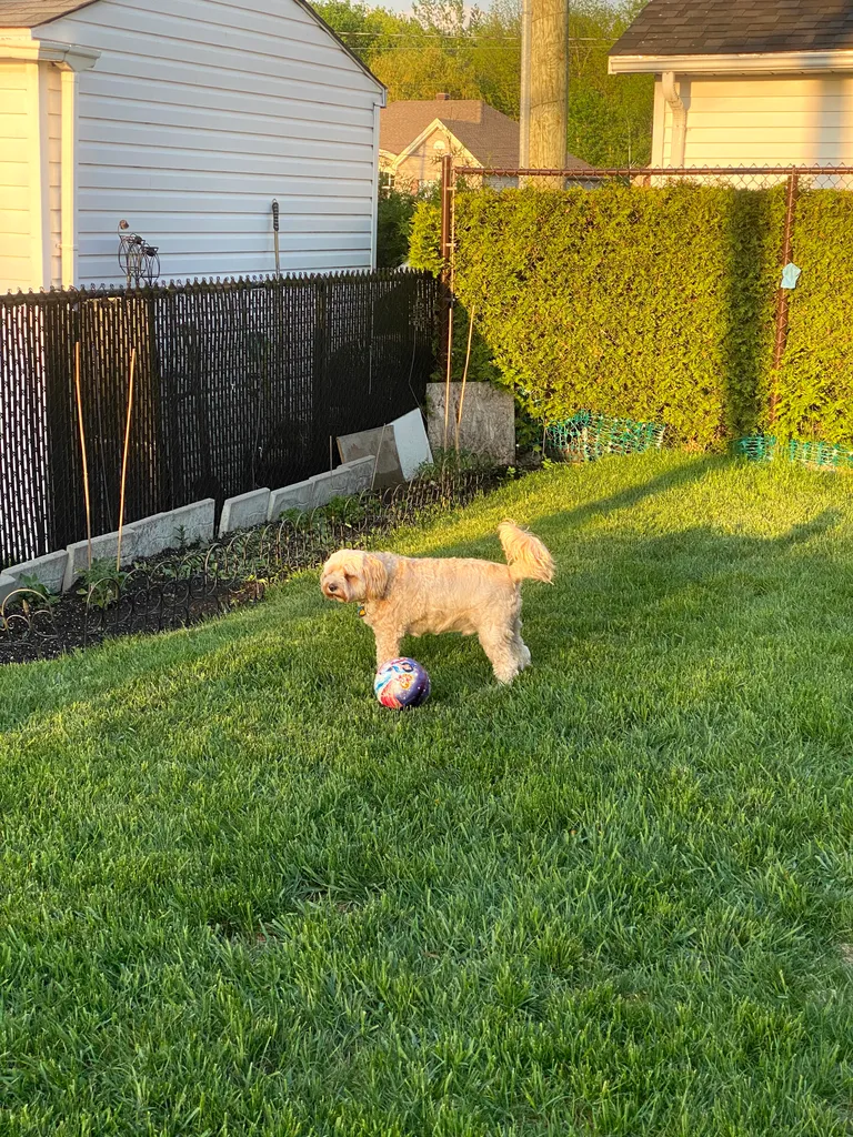 1779062869206 j7mr0c IMG 0178