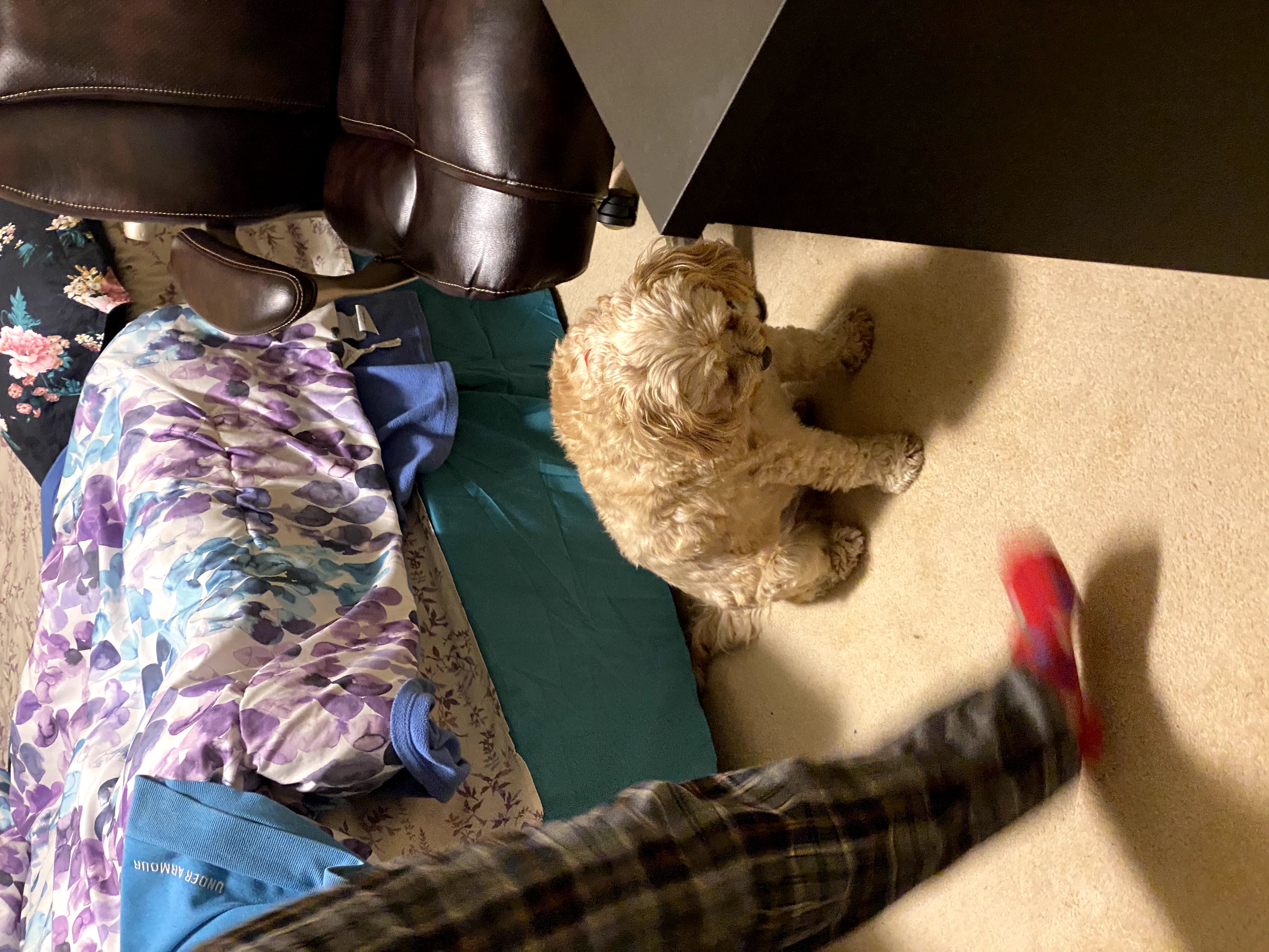 1779062895178 b5iaoy IMG 8527