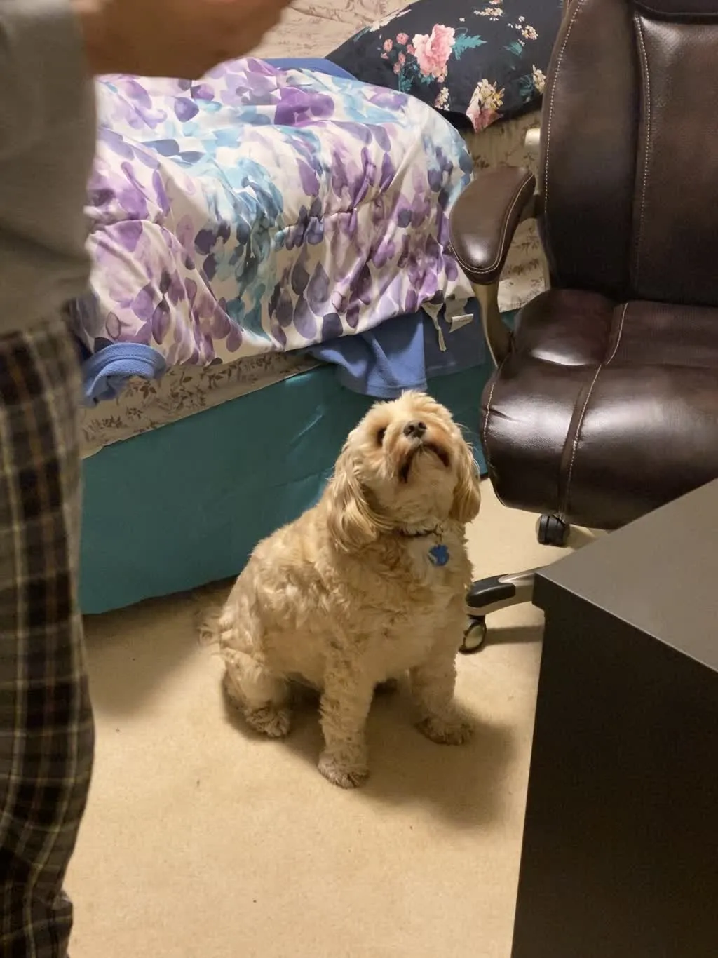 1779062895695 4bllwh IMG 8528