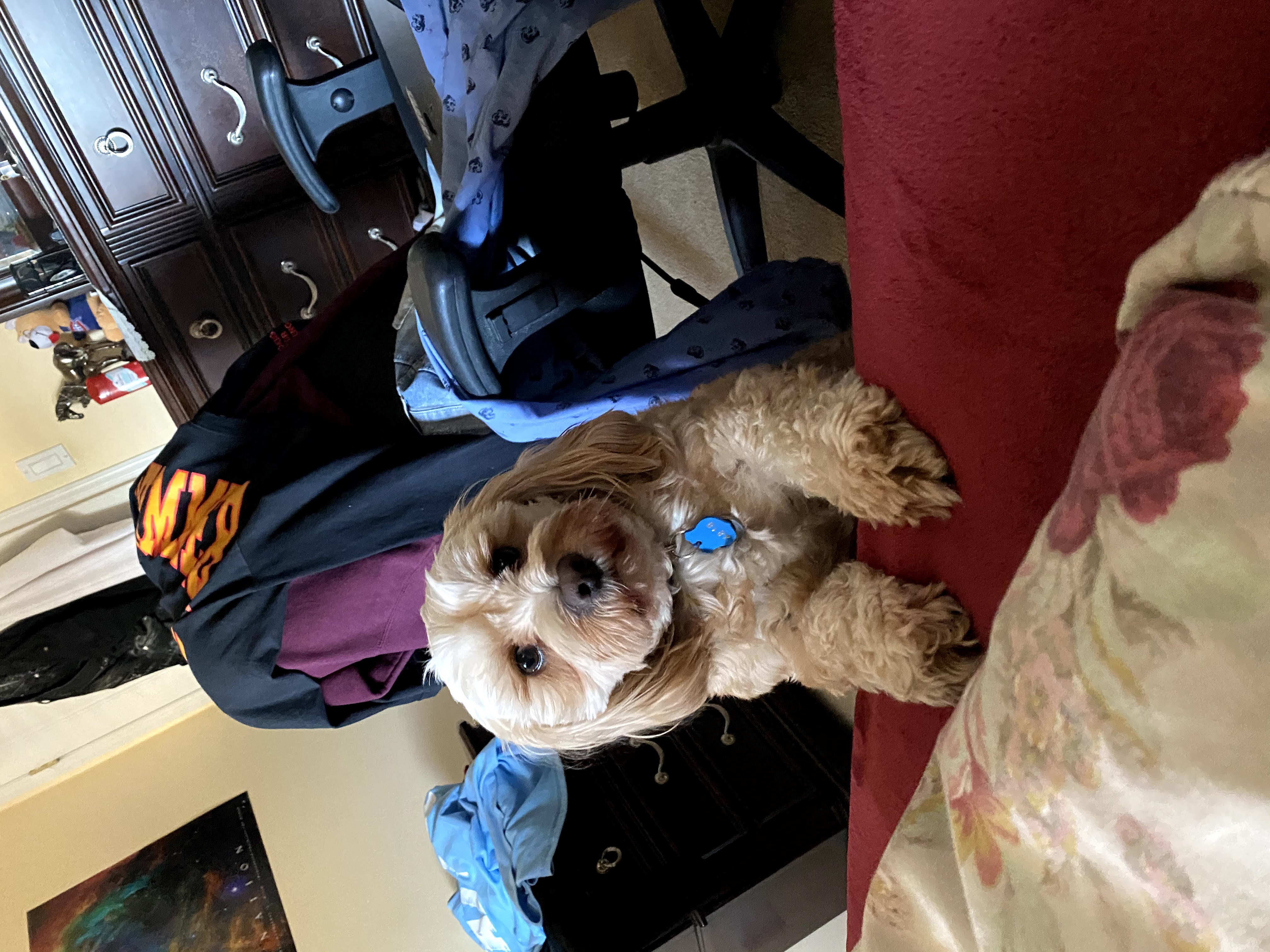 1779062899553 91x7xv IMG 8244