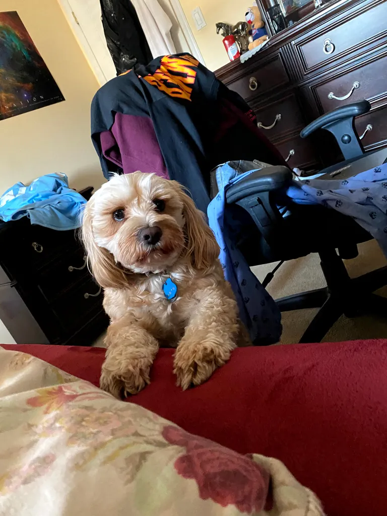 1779062899553 91x7xv IMG 8244