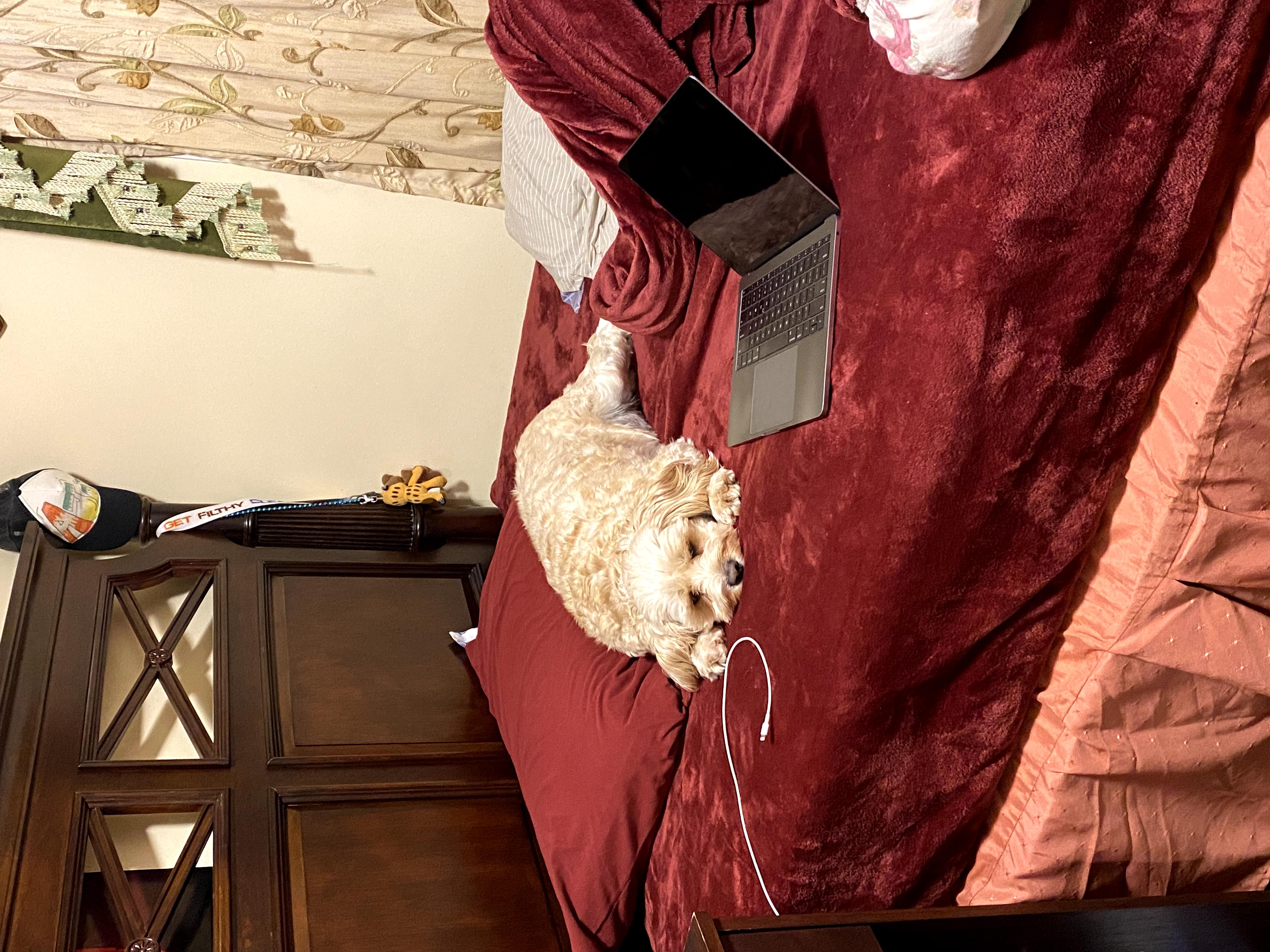 1779062900288 u4jhyc IMG 8209
