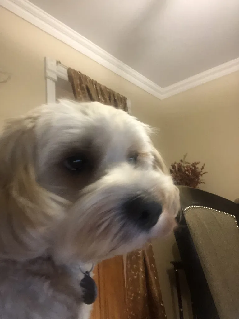 1779062903323 uskyql IMG 3714 1 