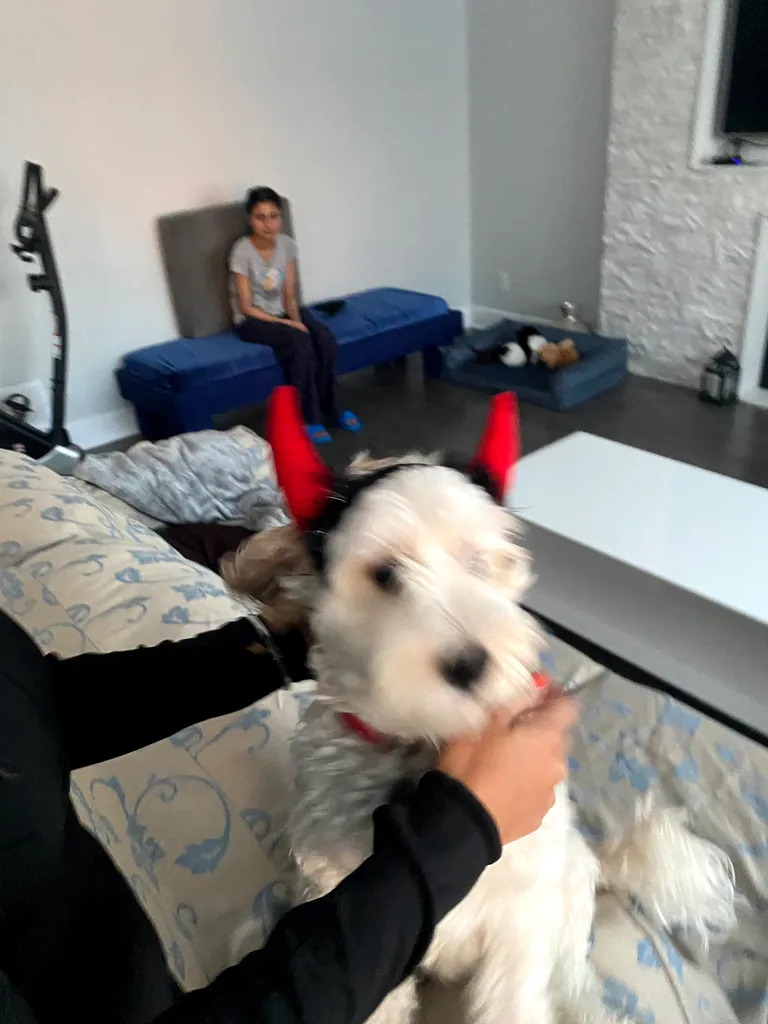1779062919897 hdv8bi IMG 3956